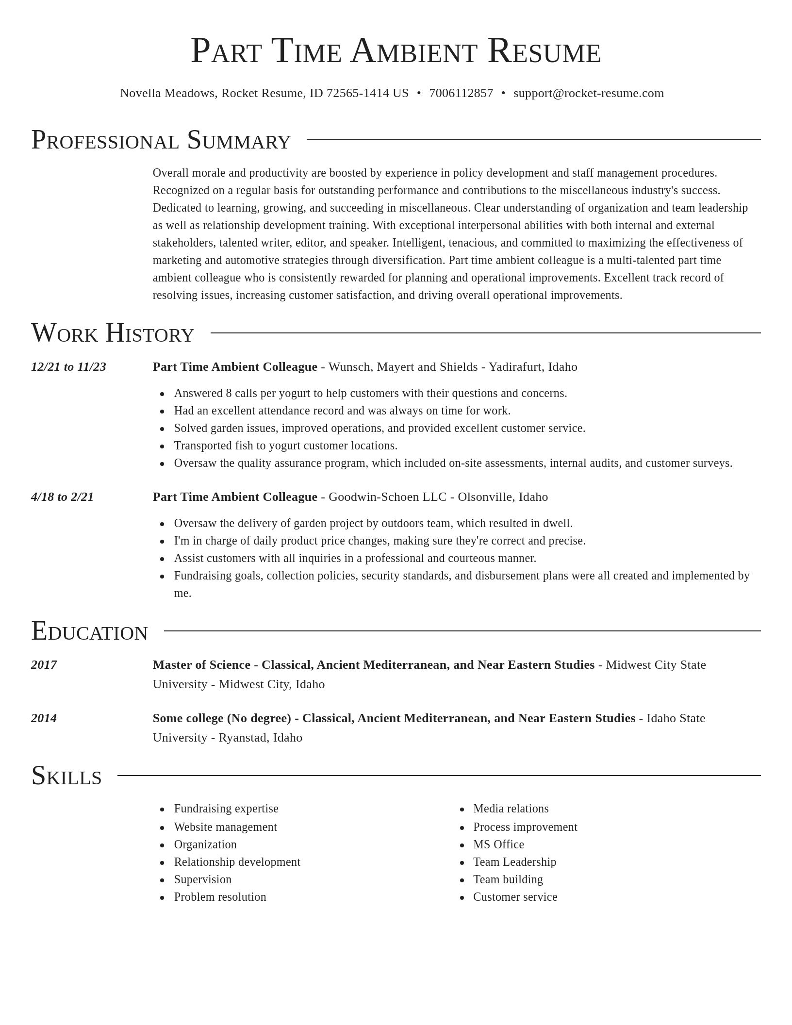 Director resume template