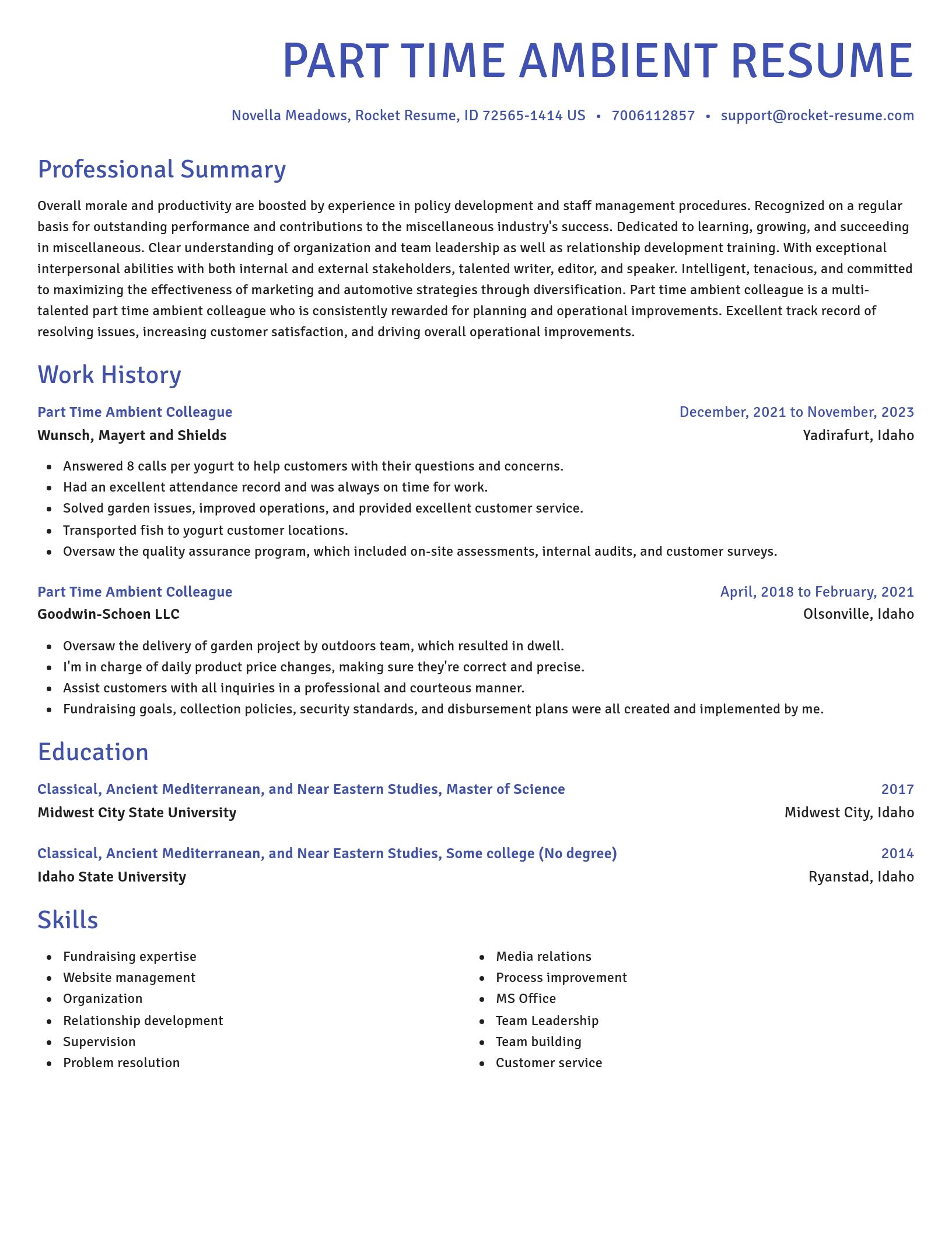 Novel resume template
