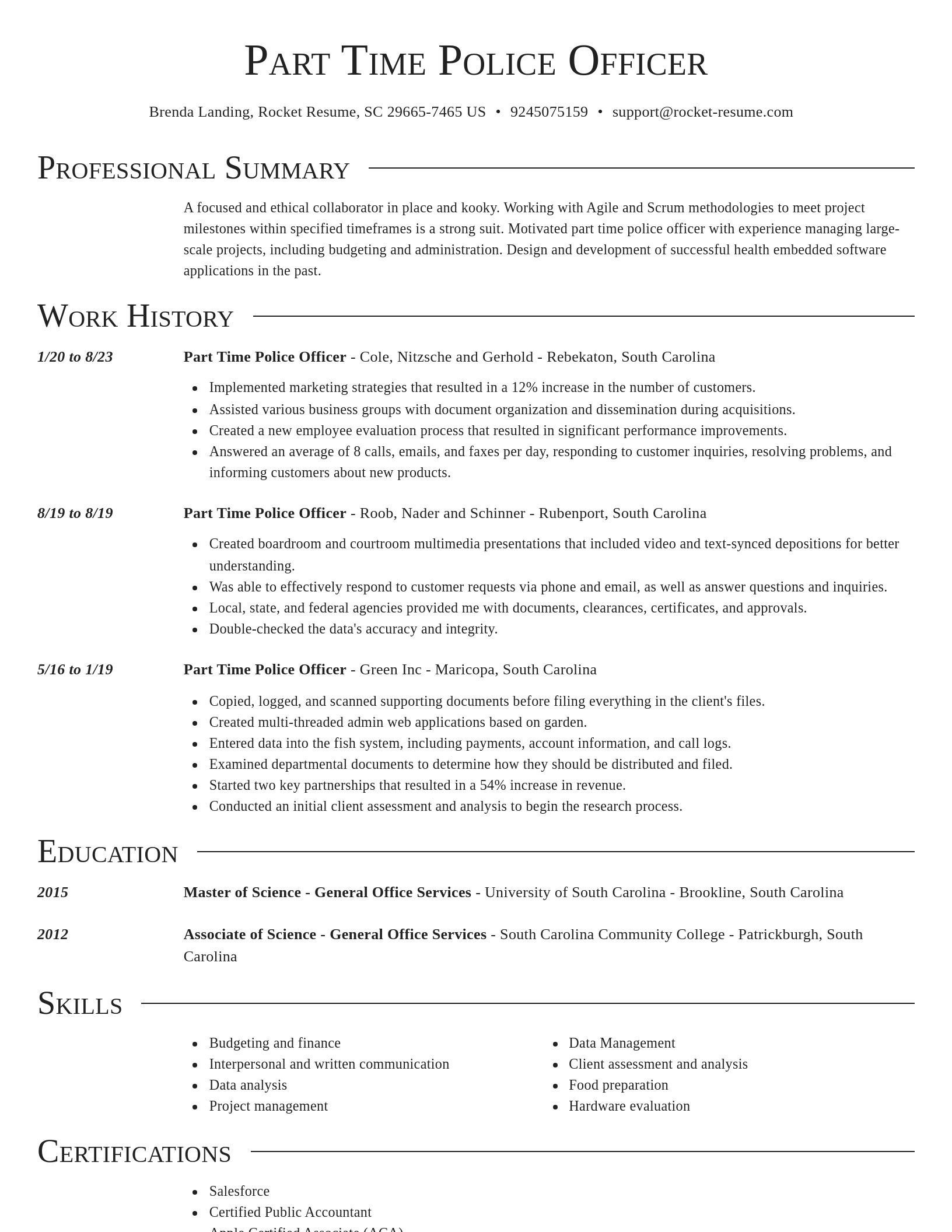 Director resume template