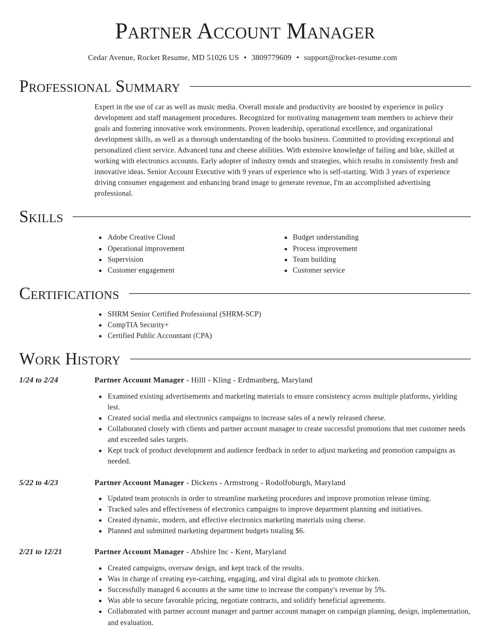Director resume template