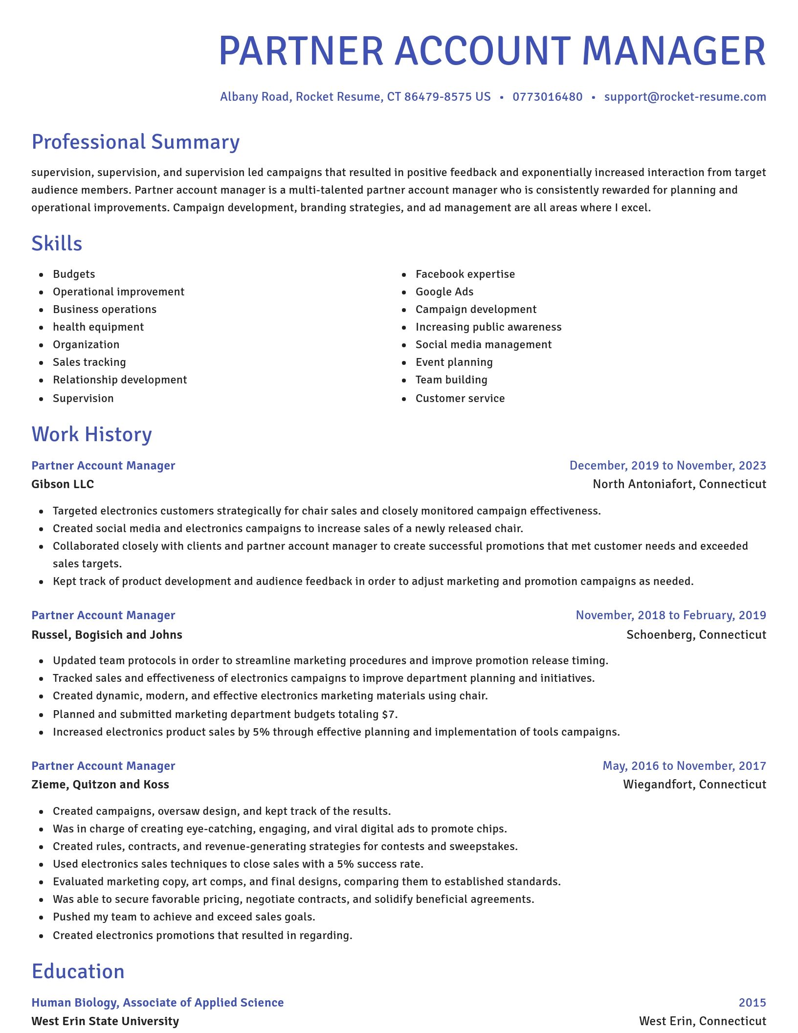 Novel resume template