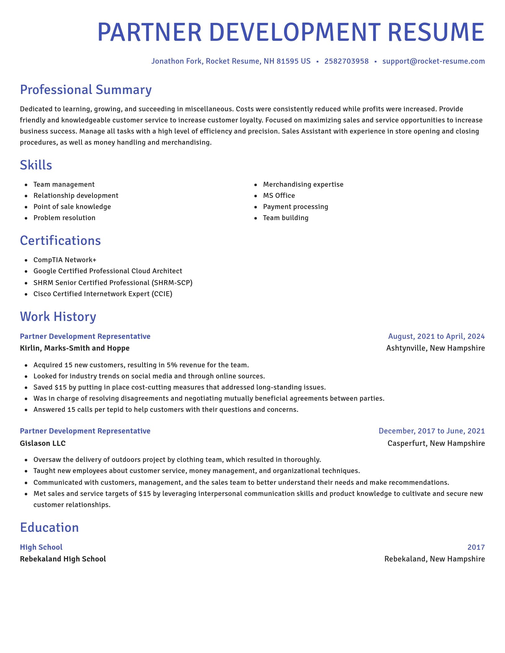 Novel resume template