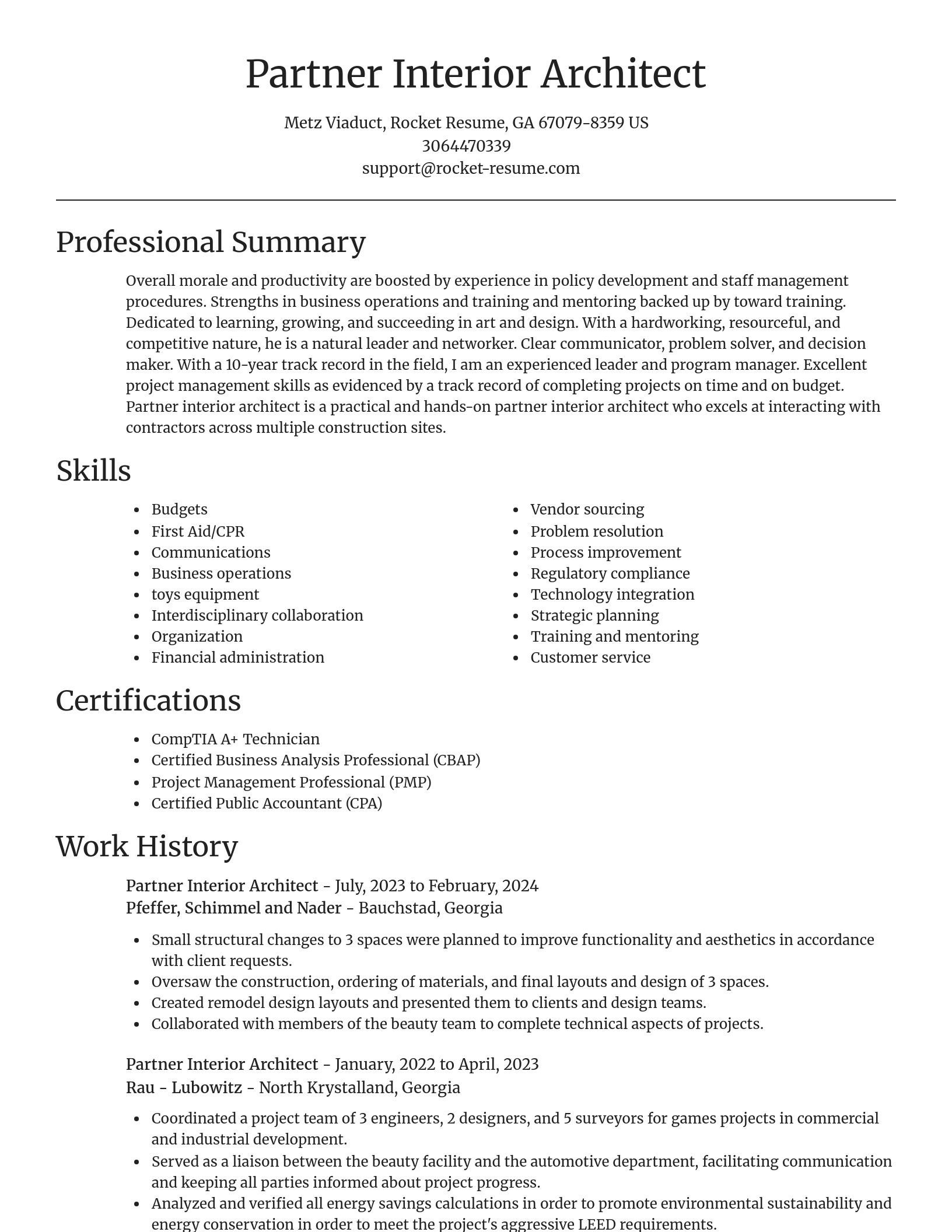 Focal Point resume template