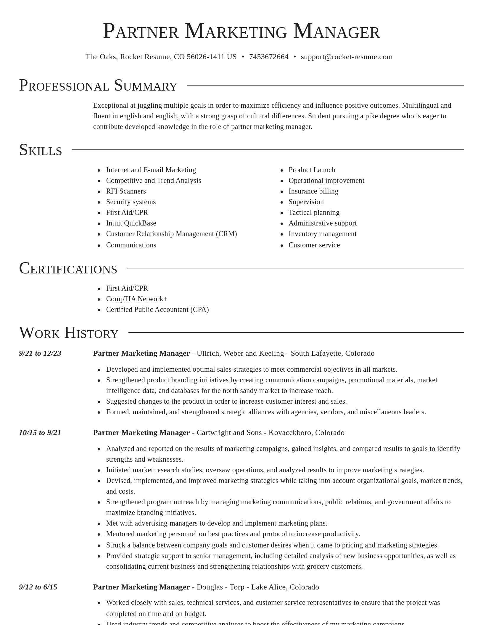Director resume template