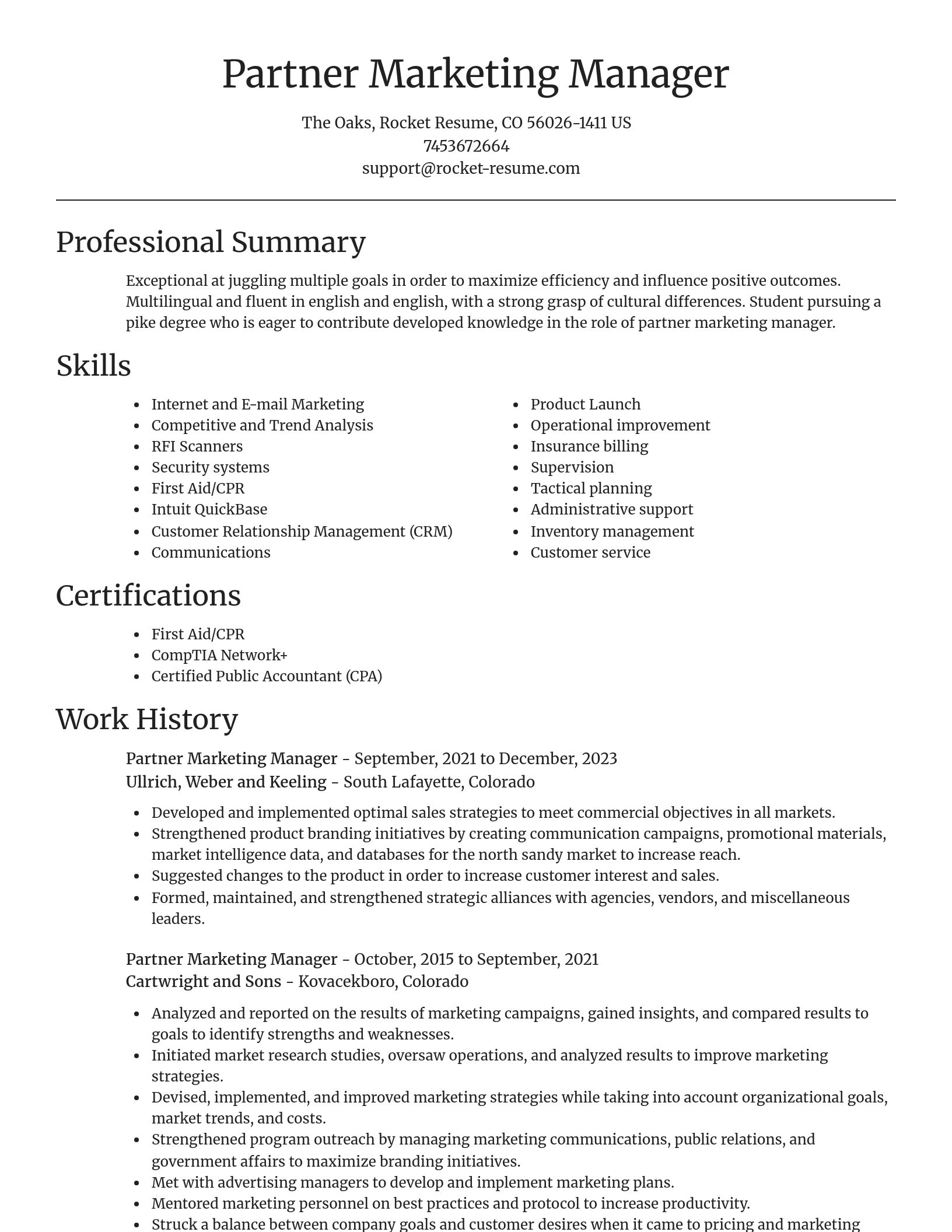 Focal Point resume template