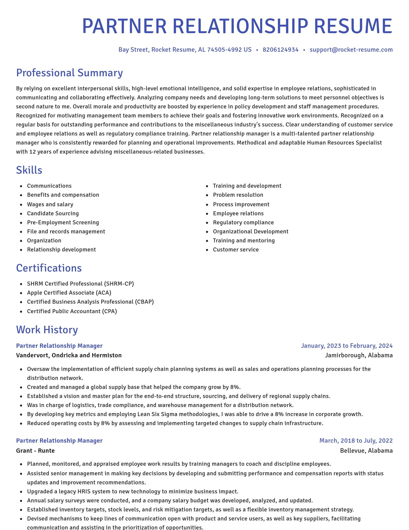 Novel resume template