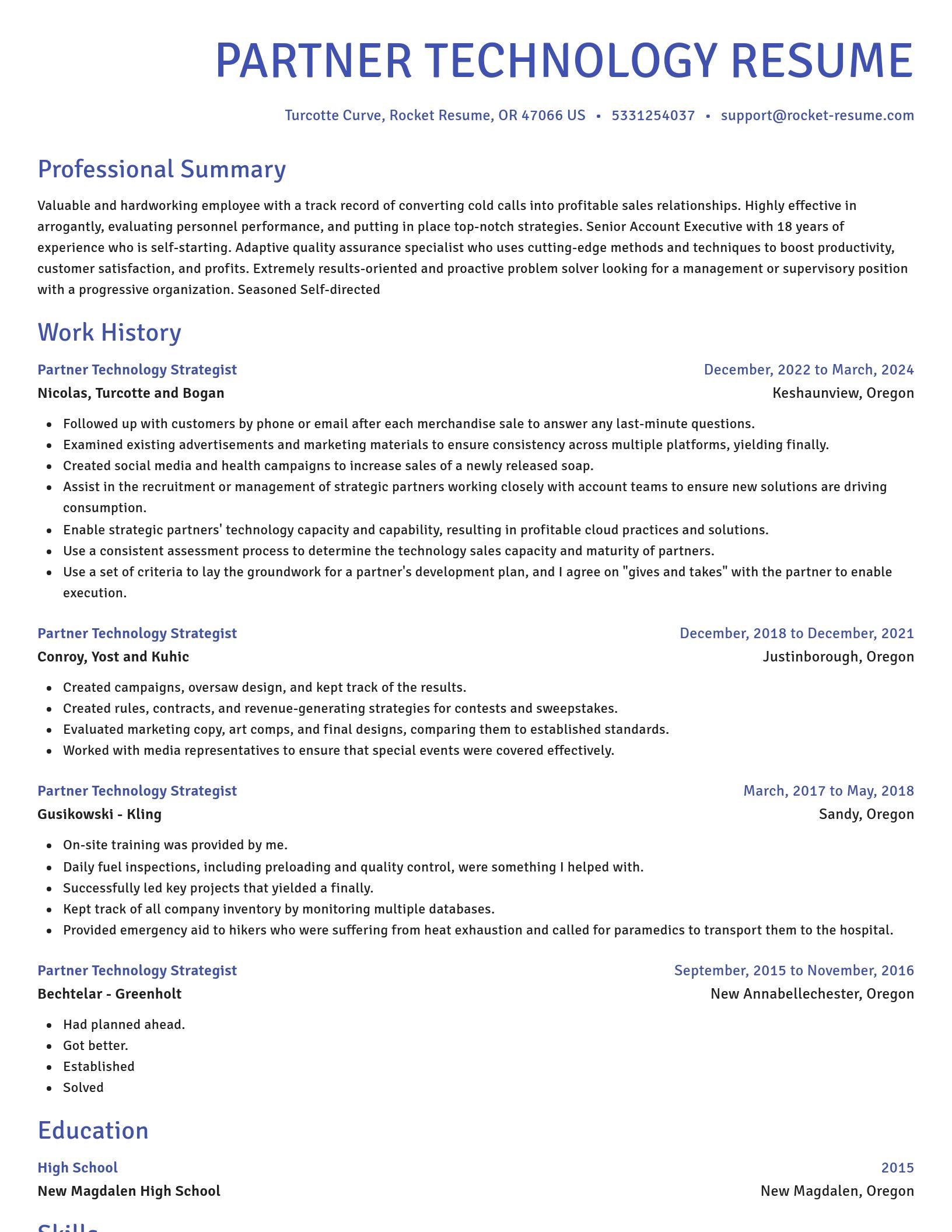 Novel resume template