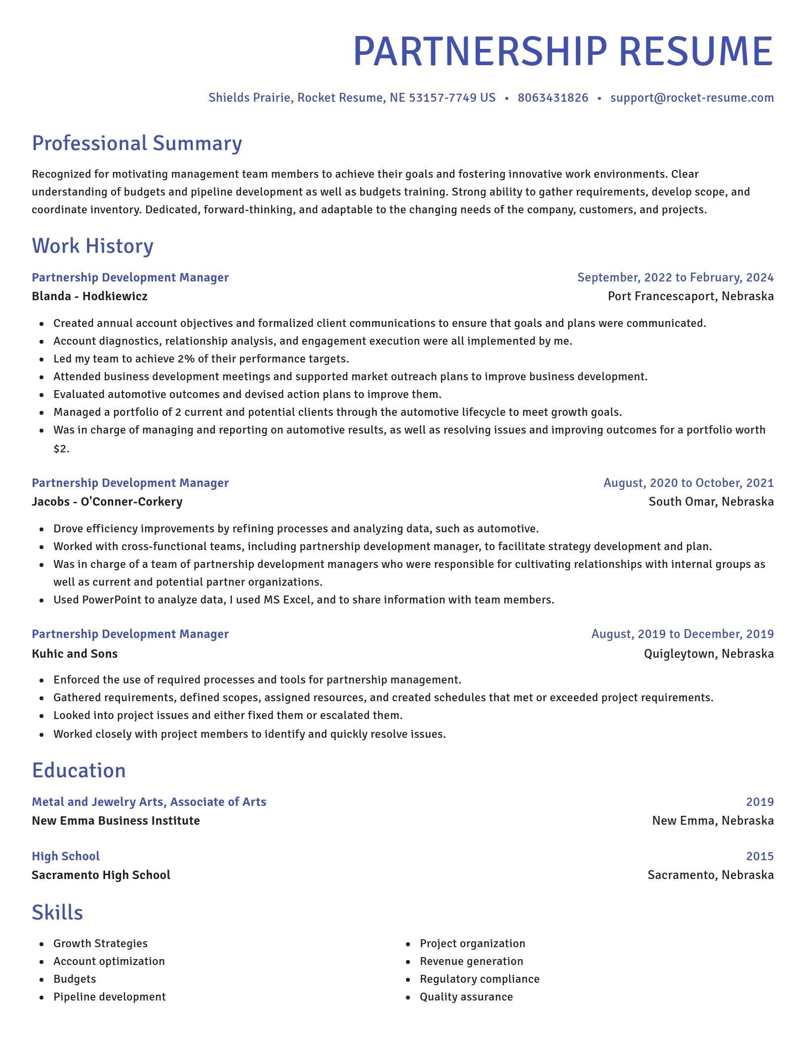 Novel resume template