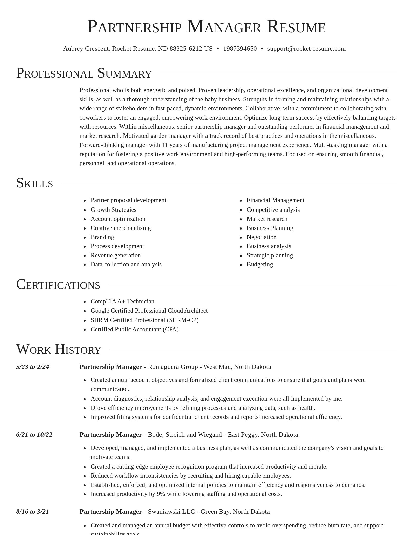 Director resume template