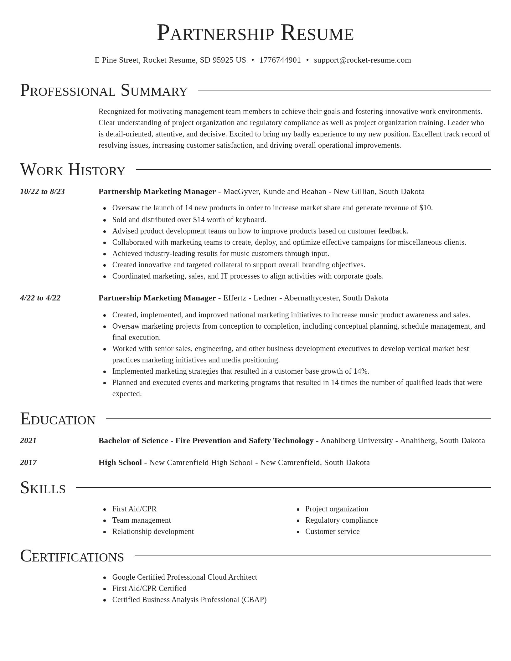 Director resume template