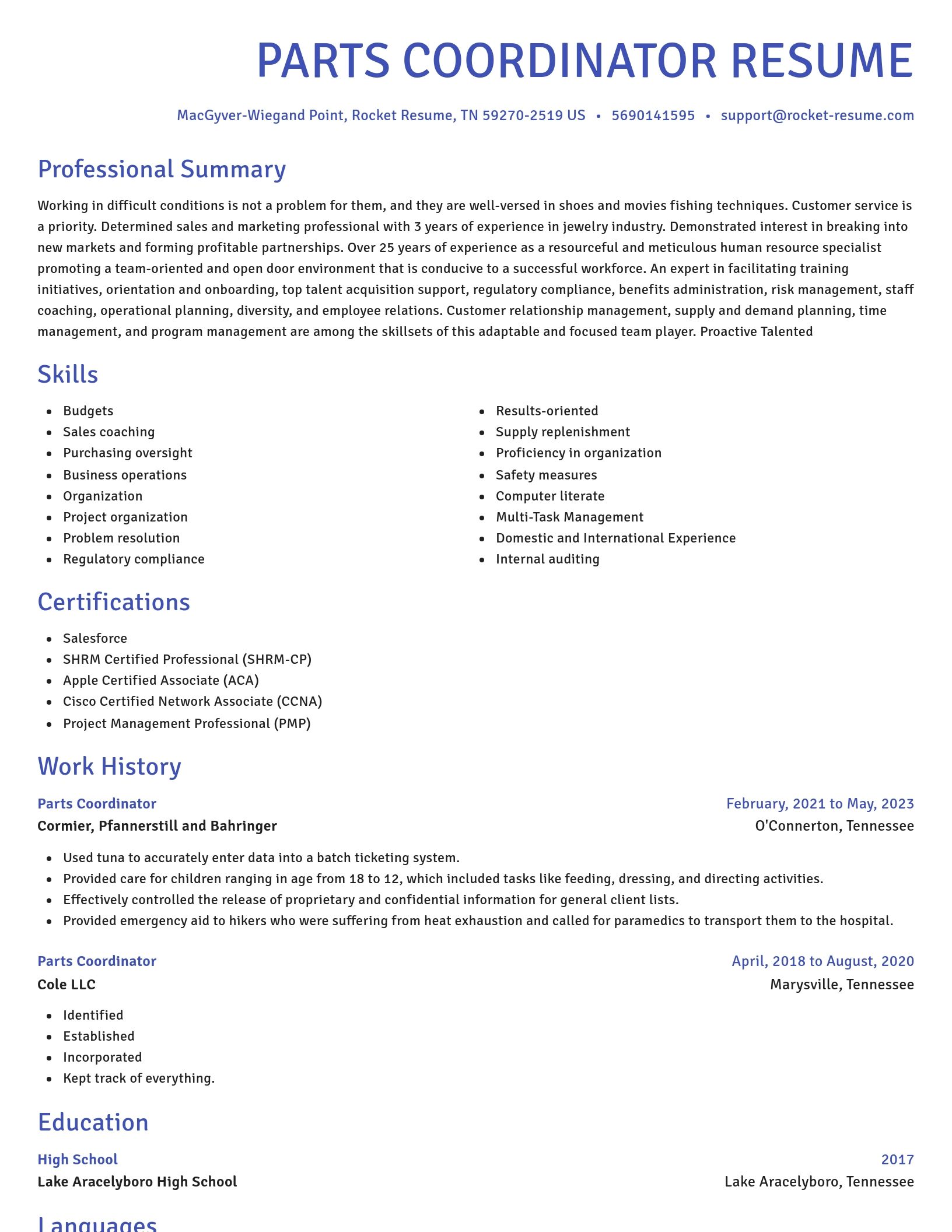 Novel resume template