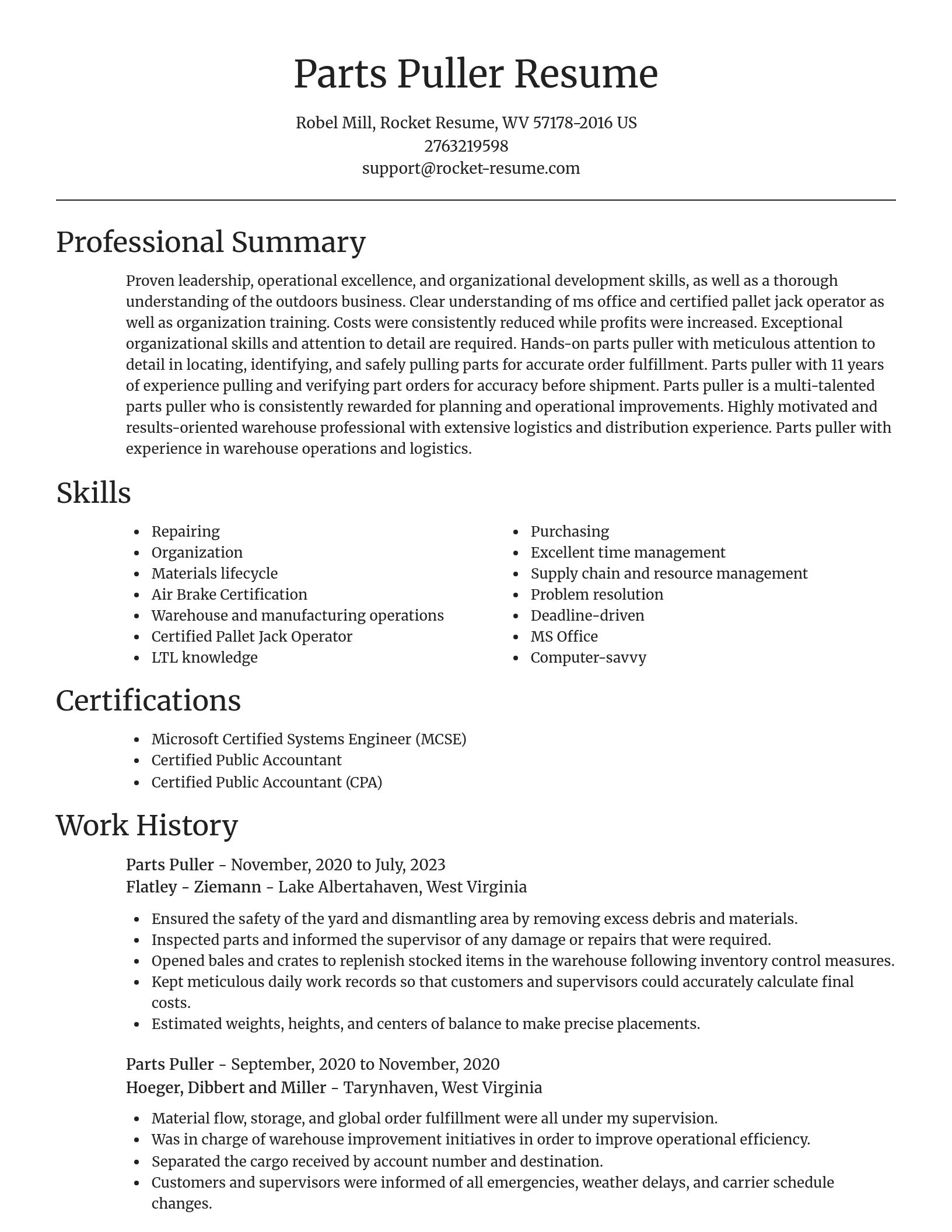 Focal Point resume template