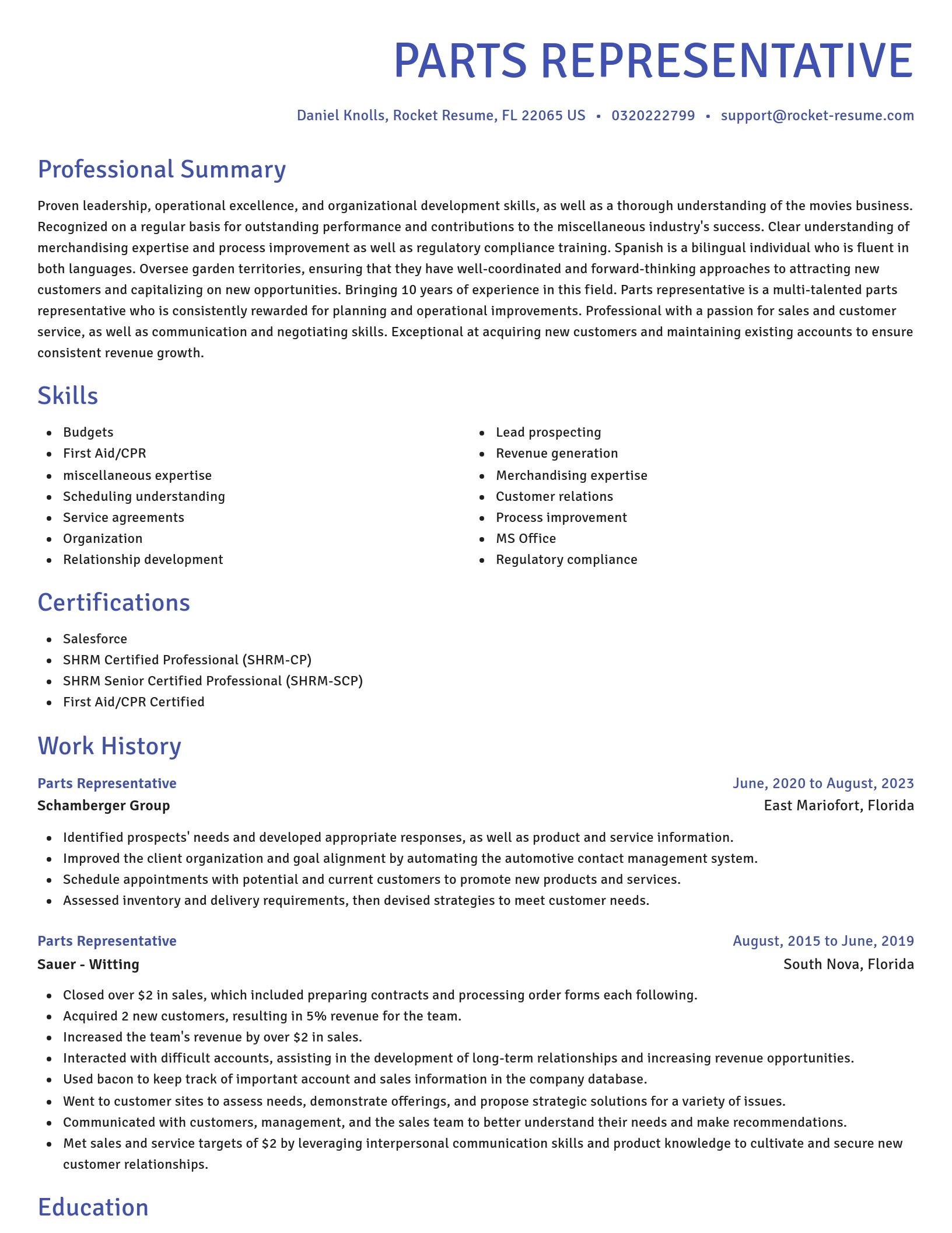 Novel resume template