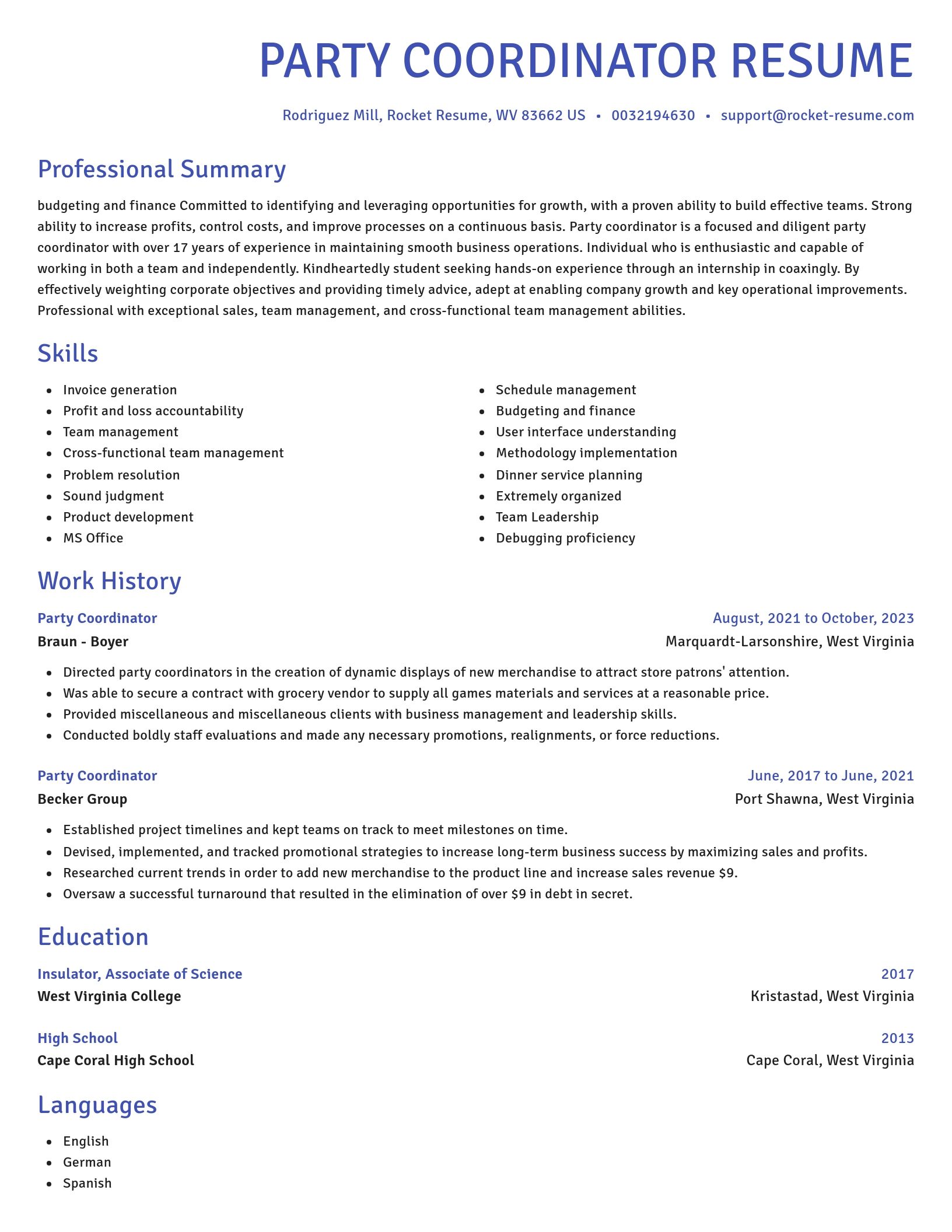 Novel resume template