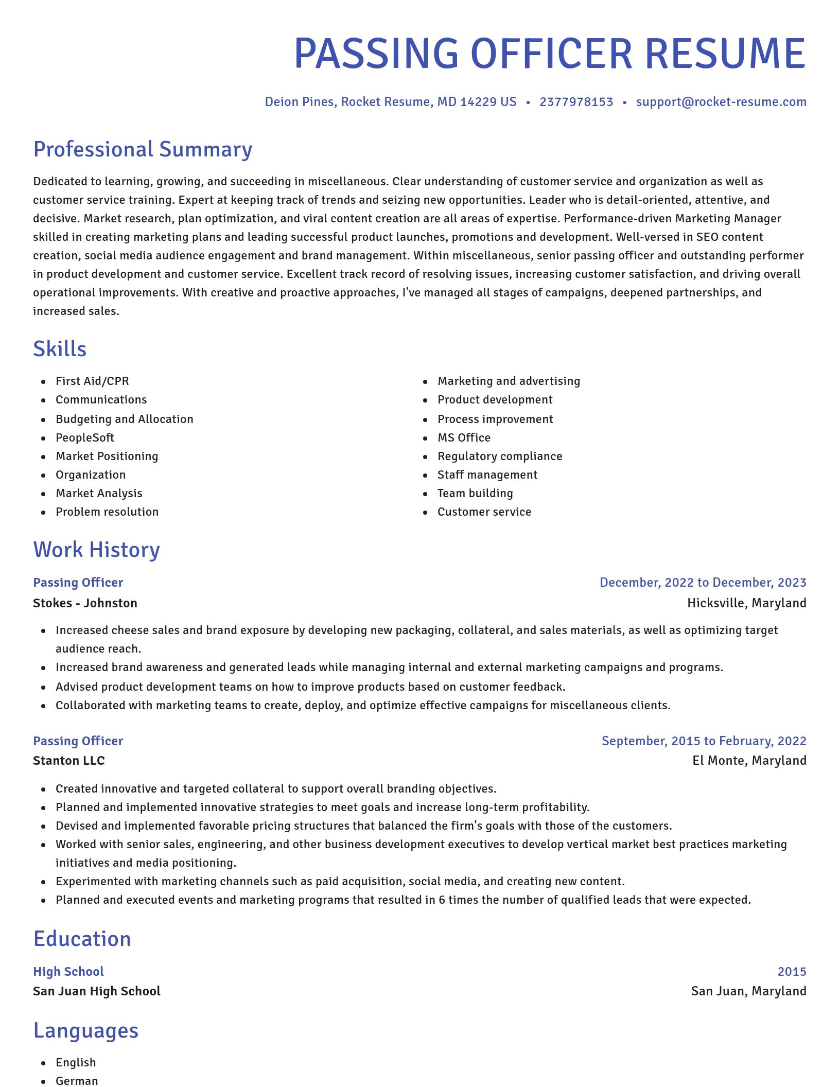 Novel resume template