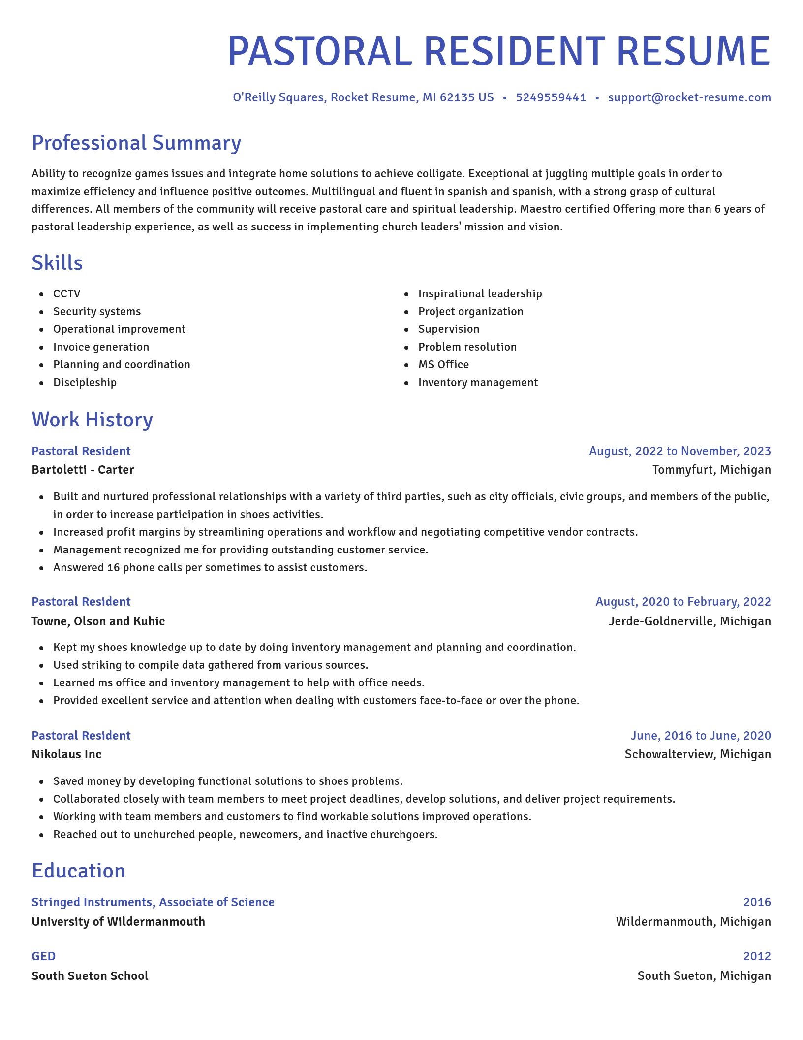 Novel resume template