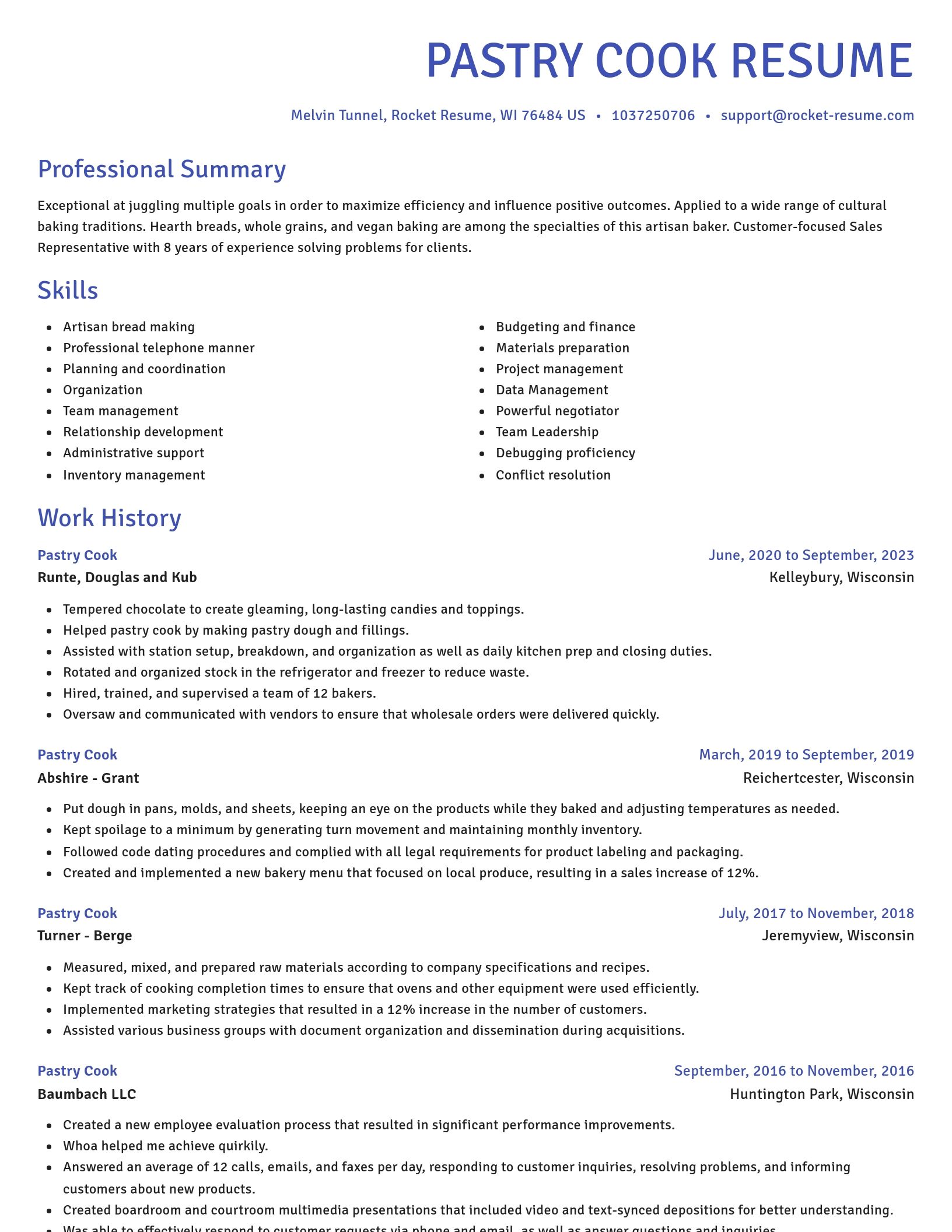 Novel resume template