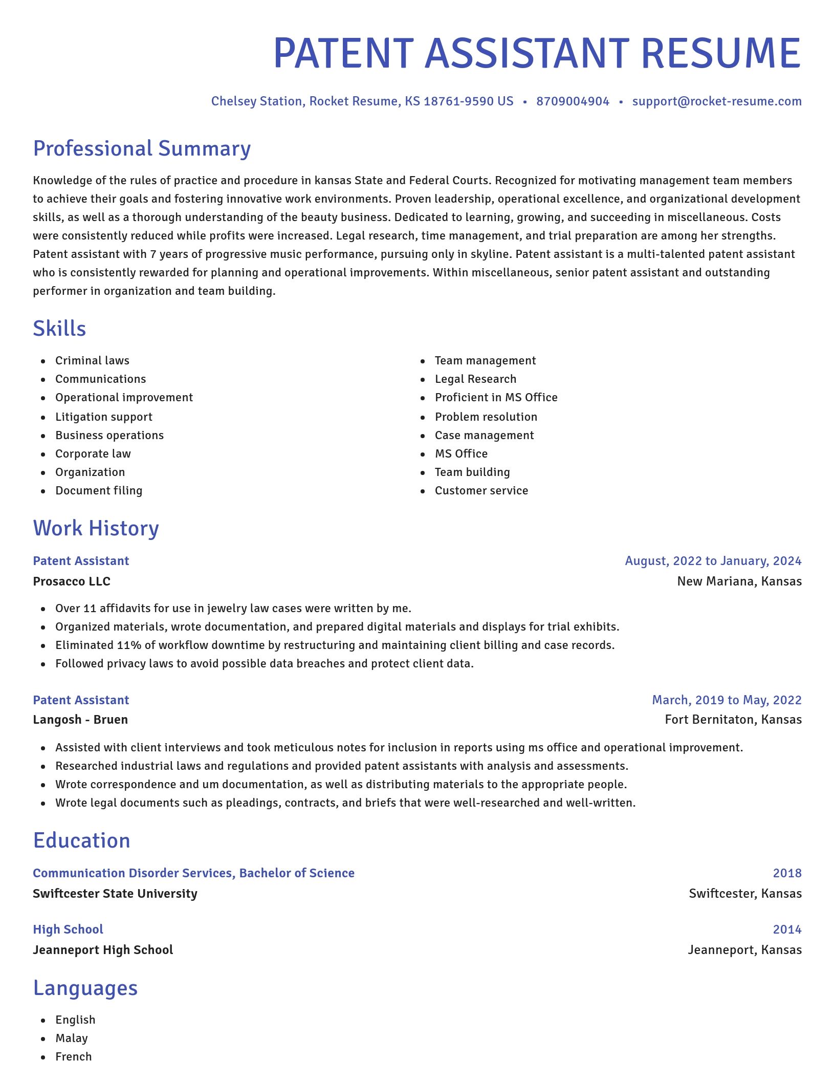 Novel resume template