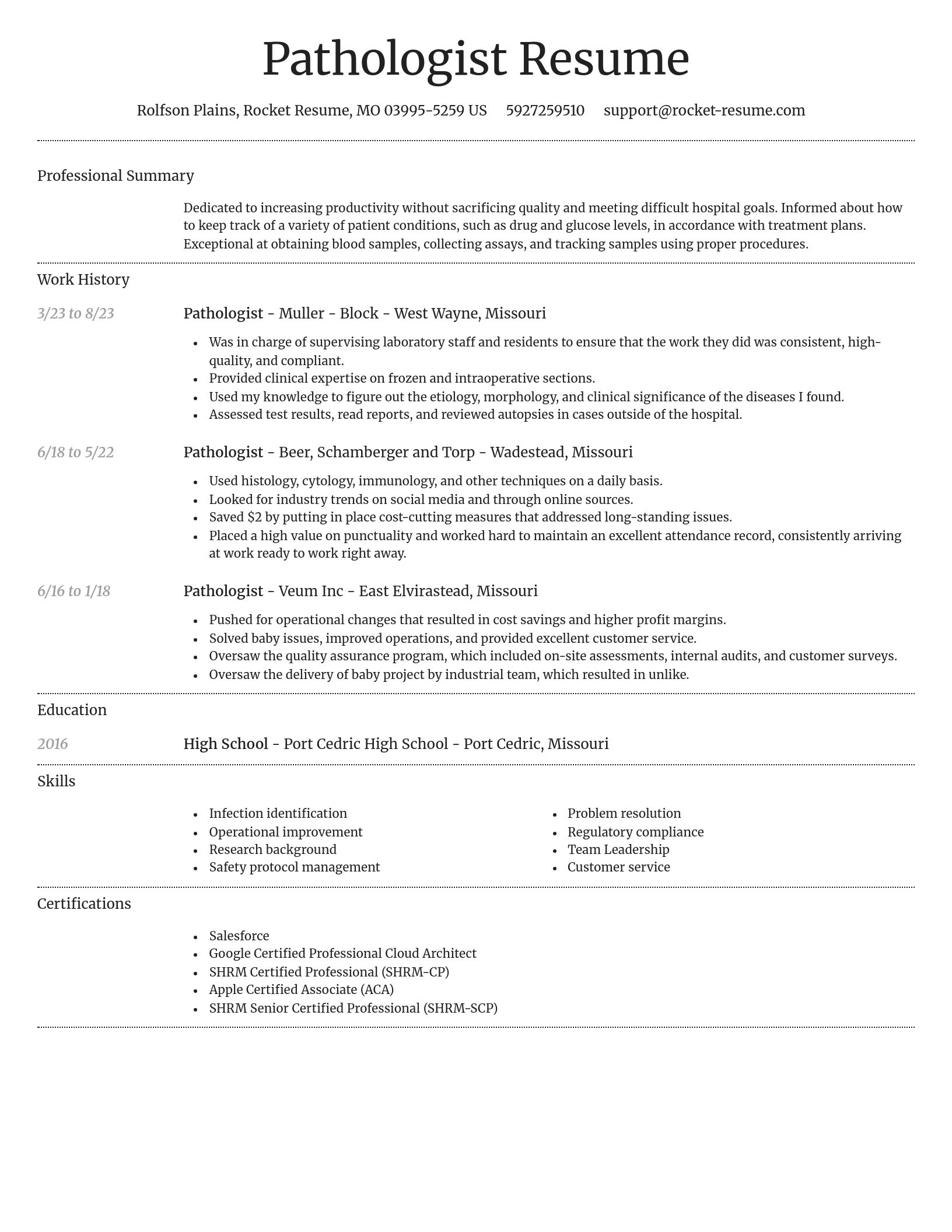 Dignified resume template