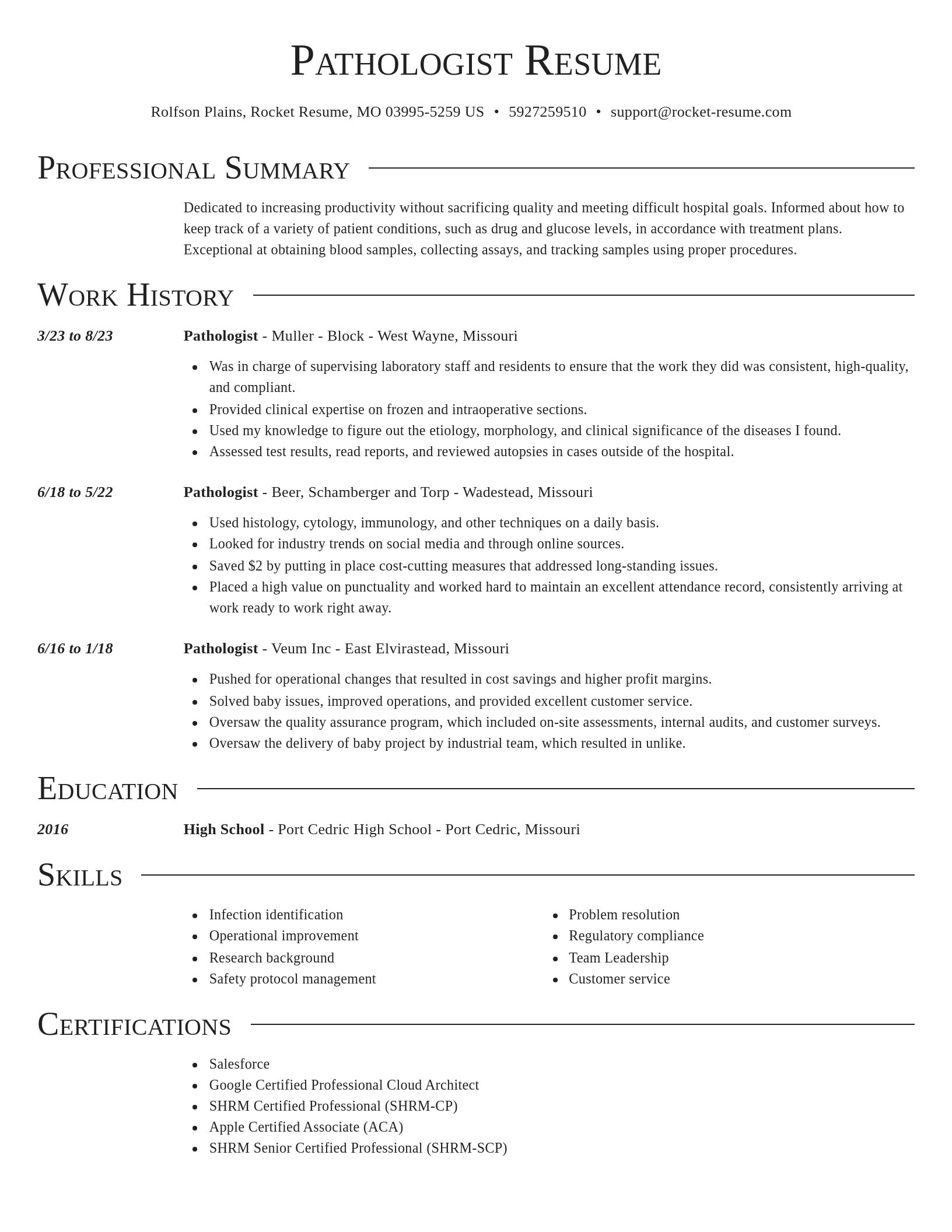 Director resume template