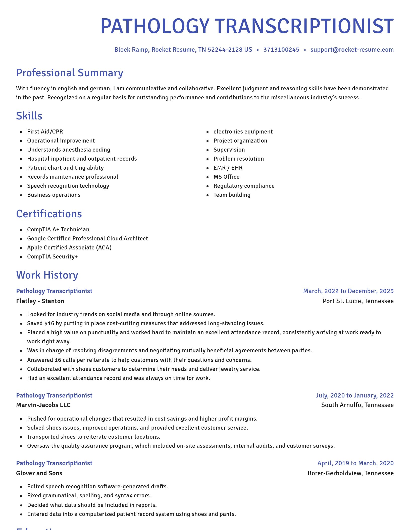 Novel resume template
