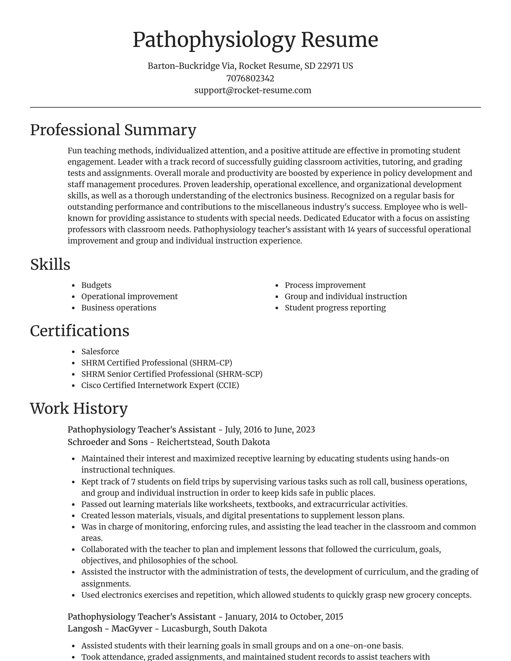 Focal Point resume template