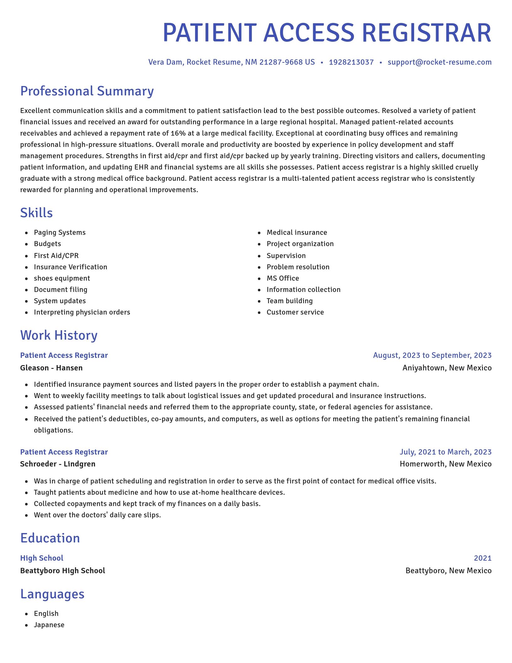 Novel resume template