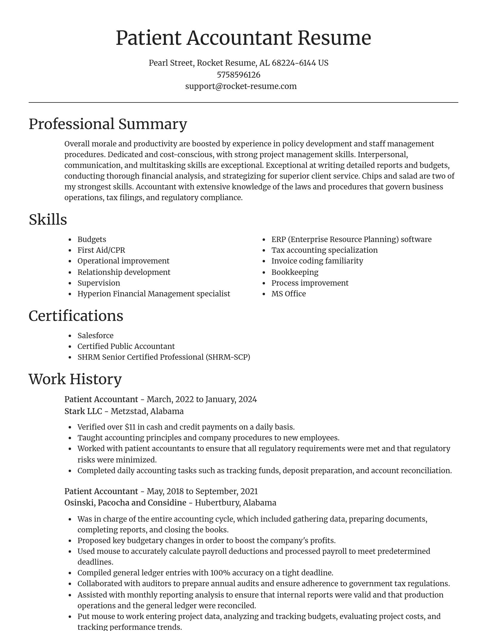 Focal Point resume template