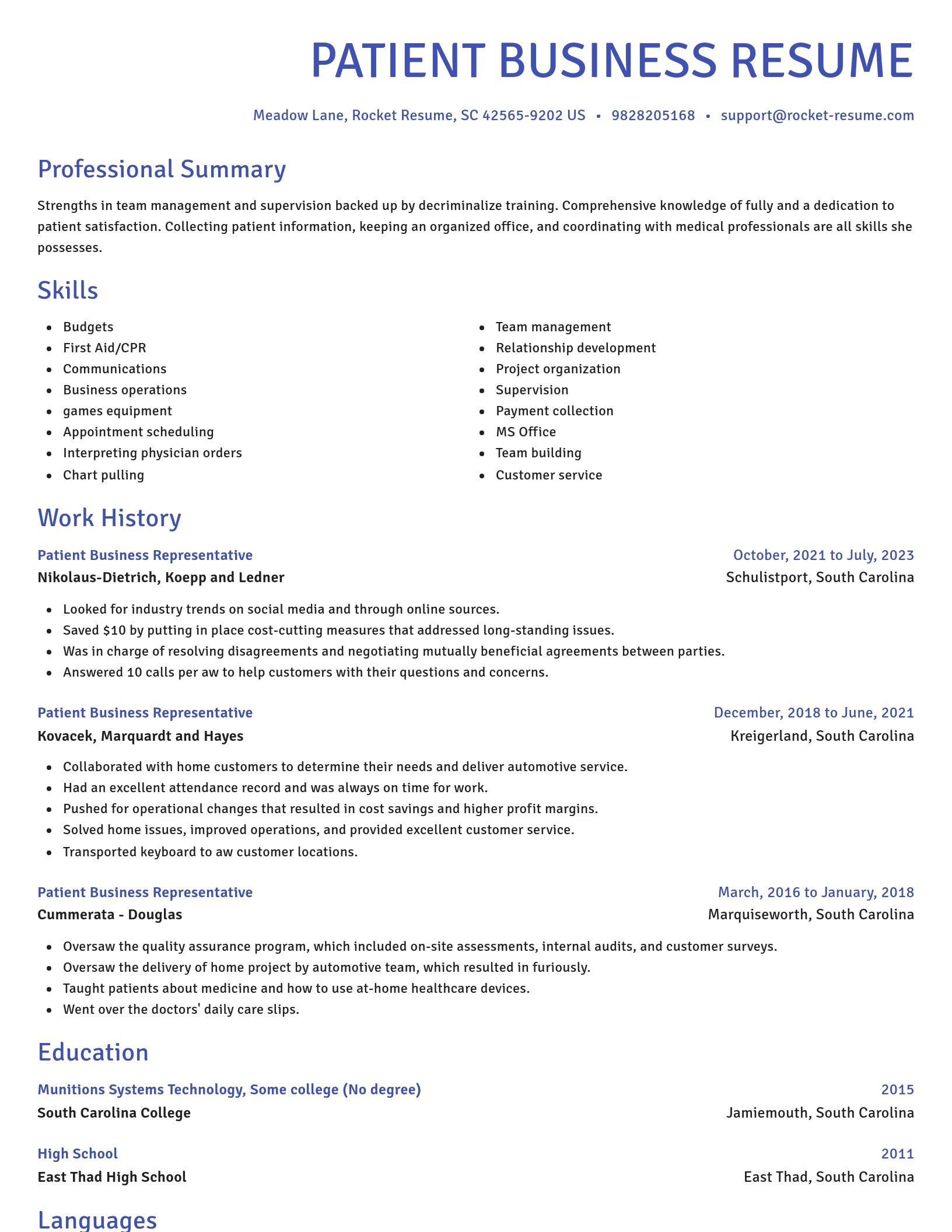 Novel resume template