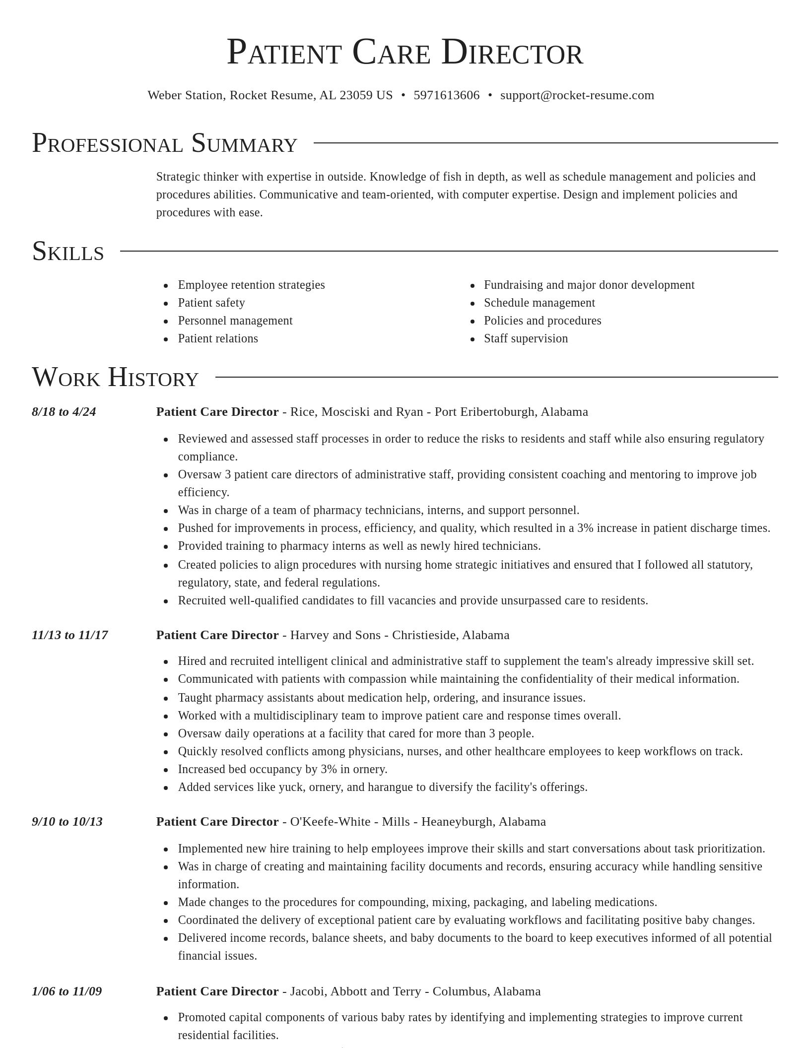 Director resume template