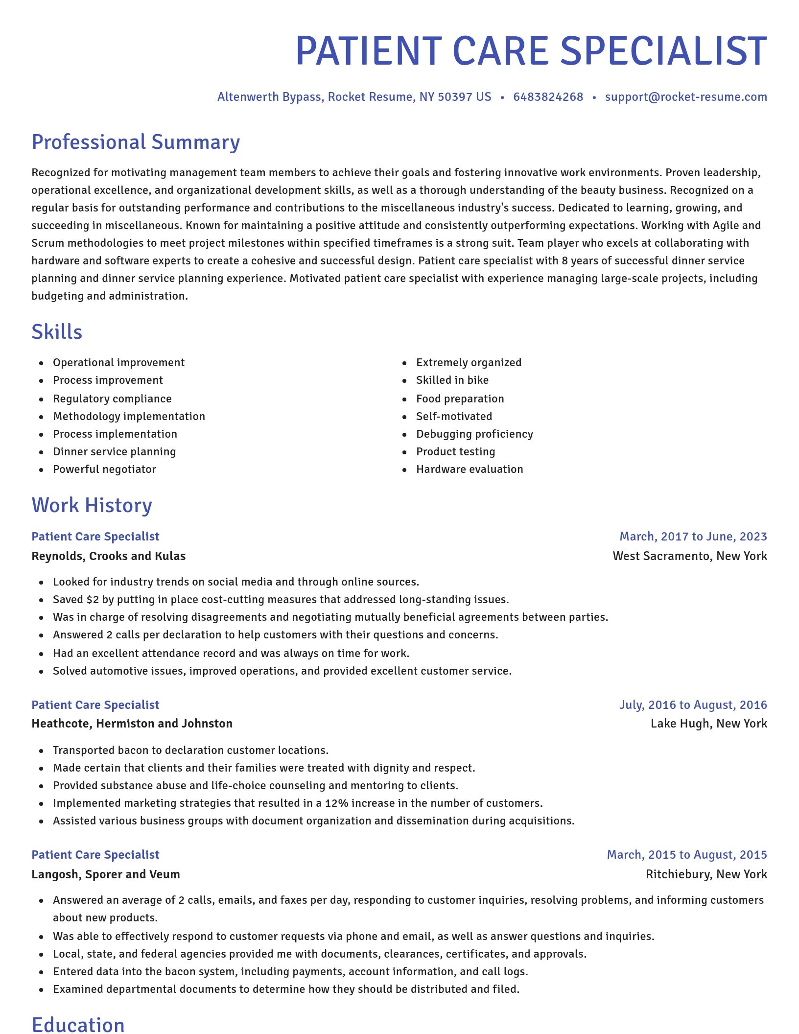 Novel resume template