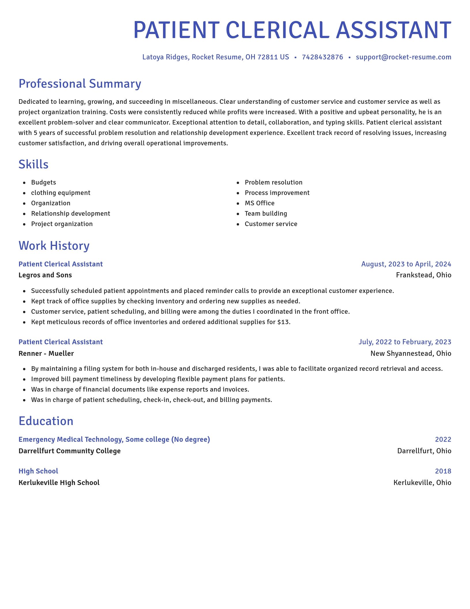 Novel resume template