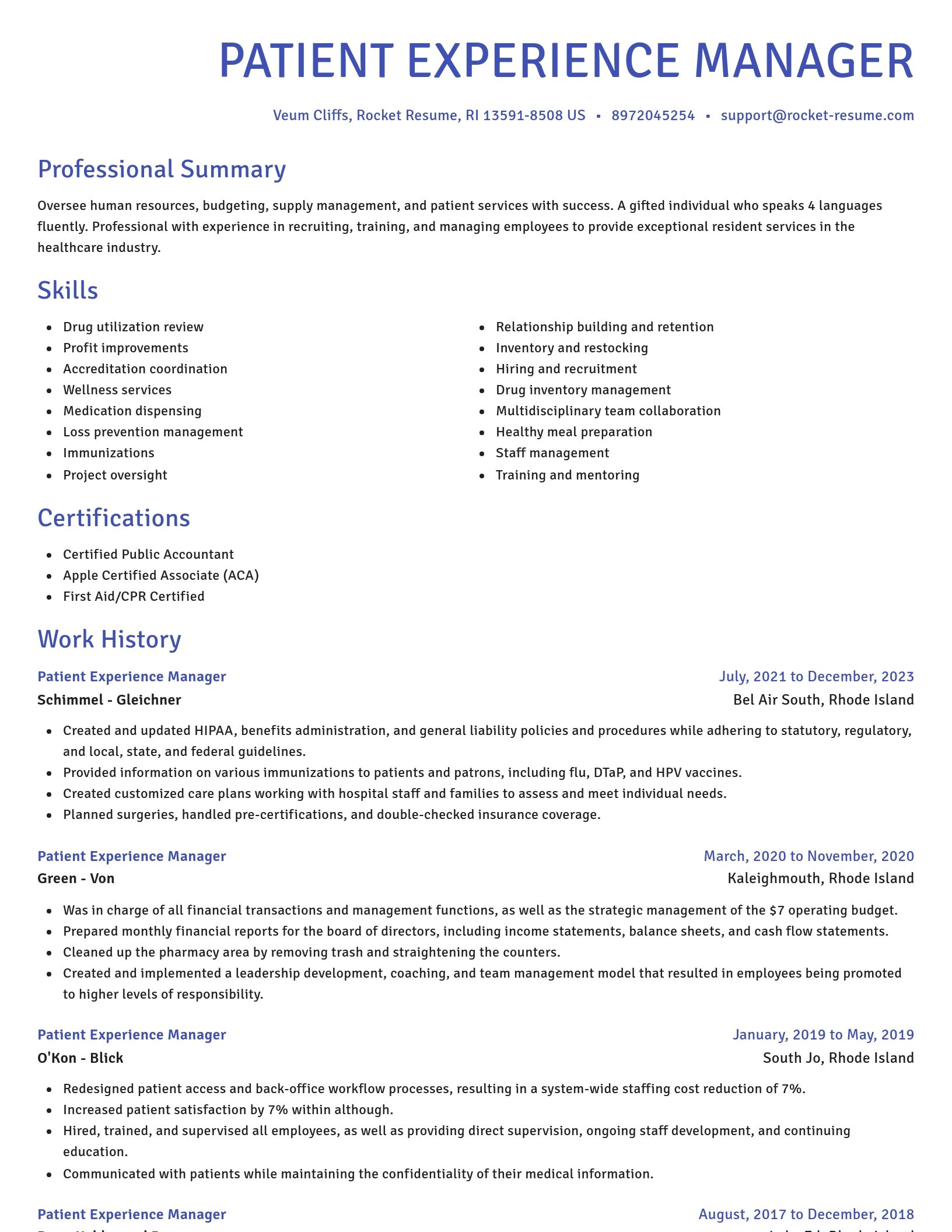 Novel resume template