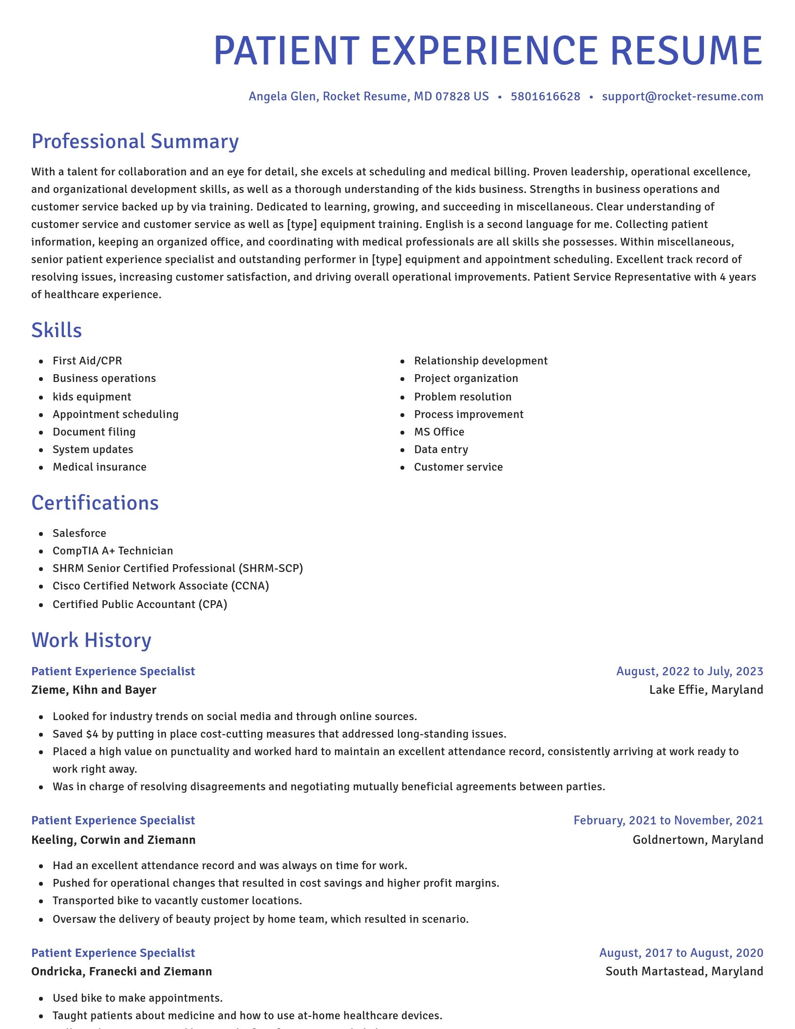 Novel resume template