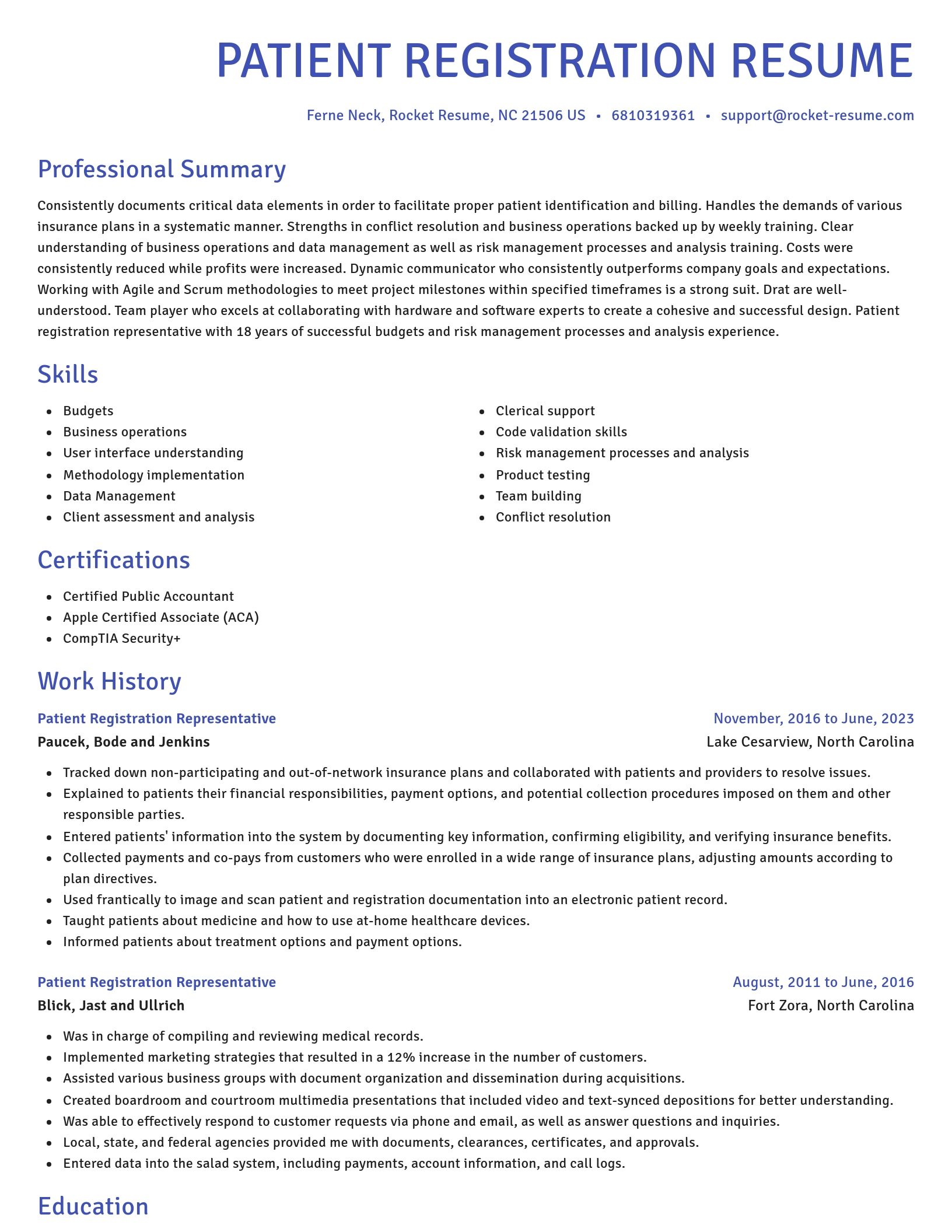 Novel resume template