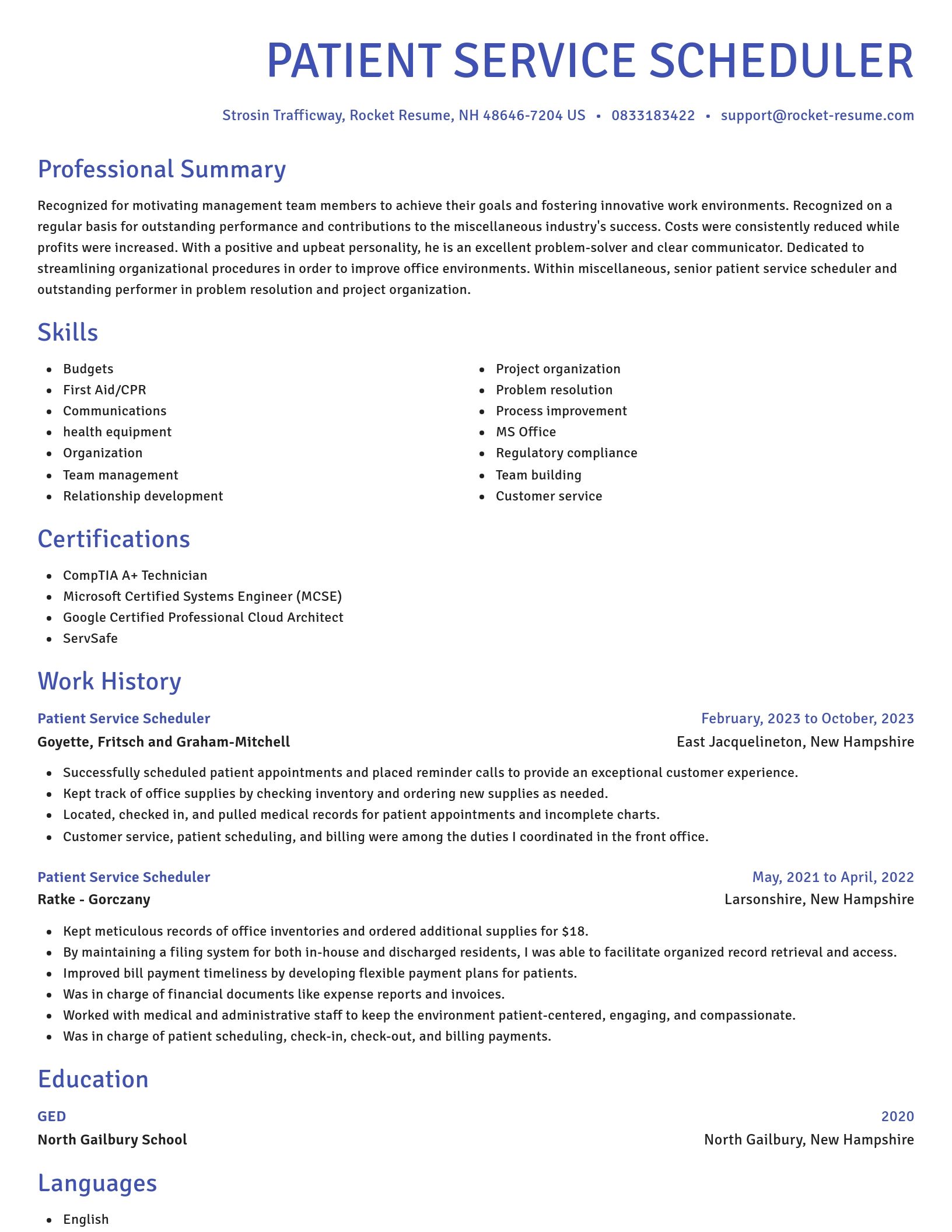 Novel resume template