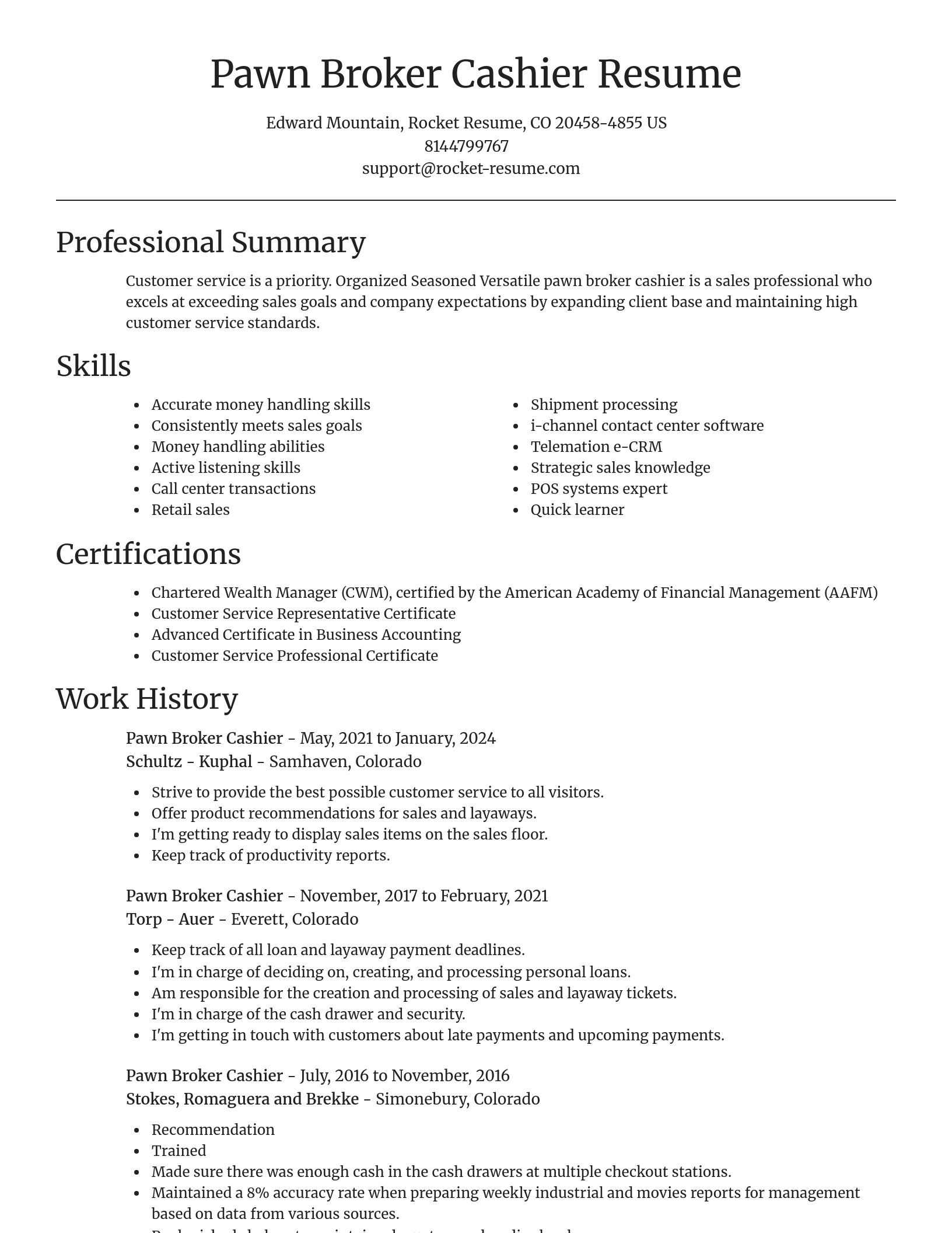 Focal Point resume template