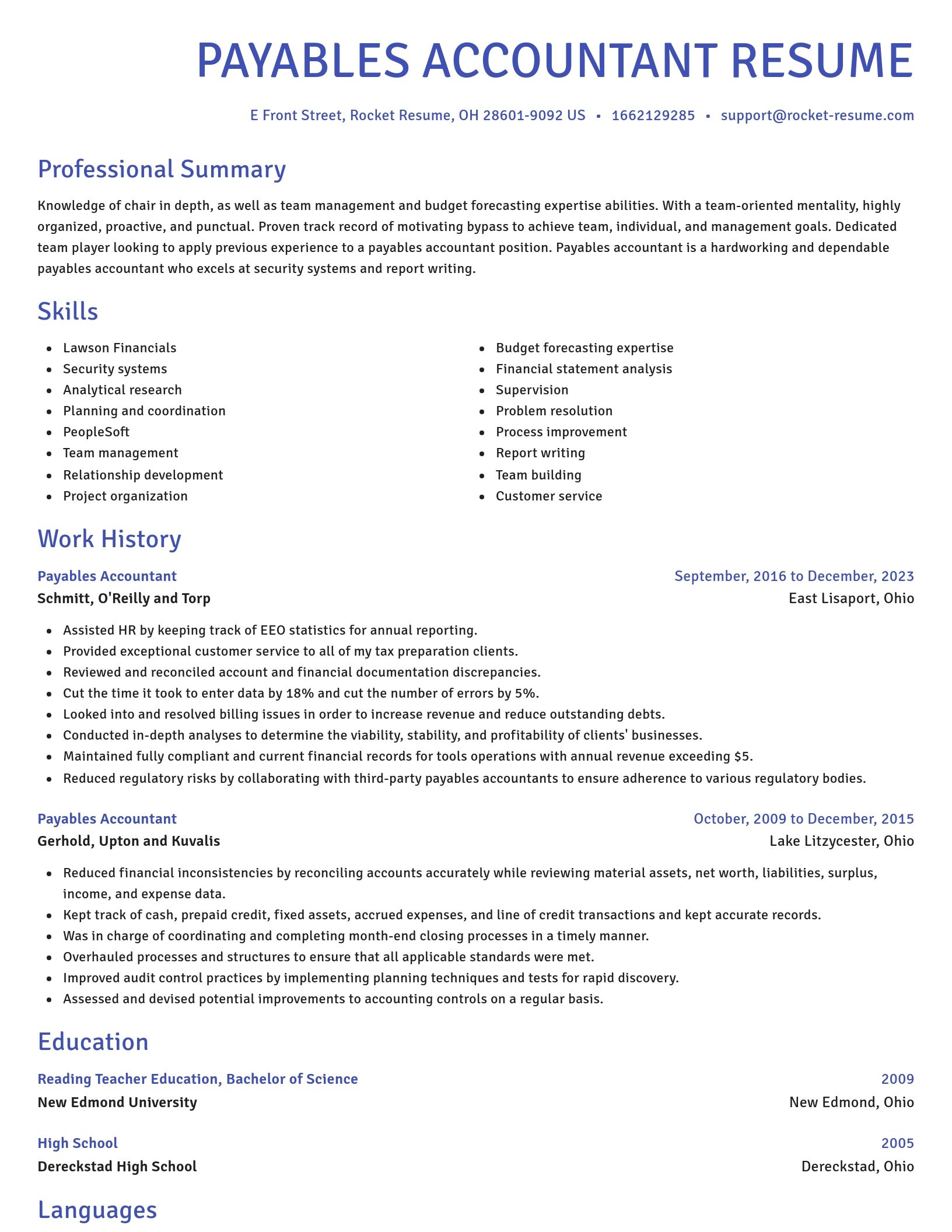 Novel resume template