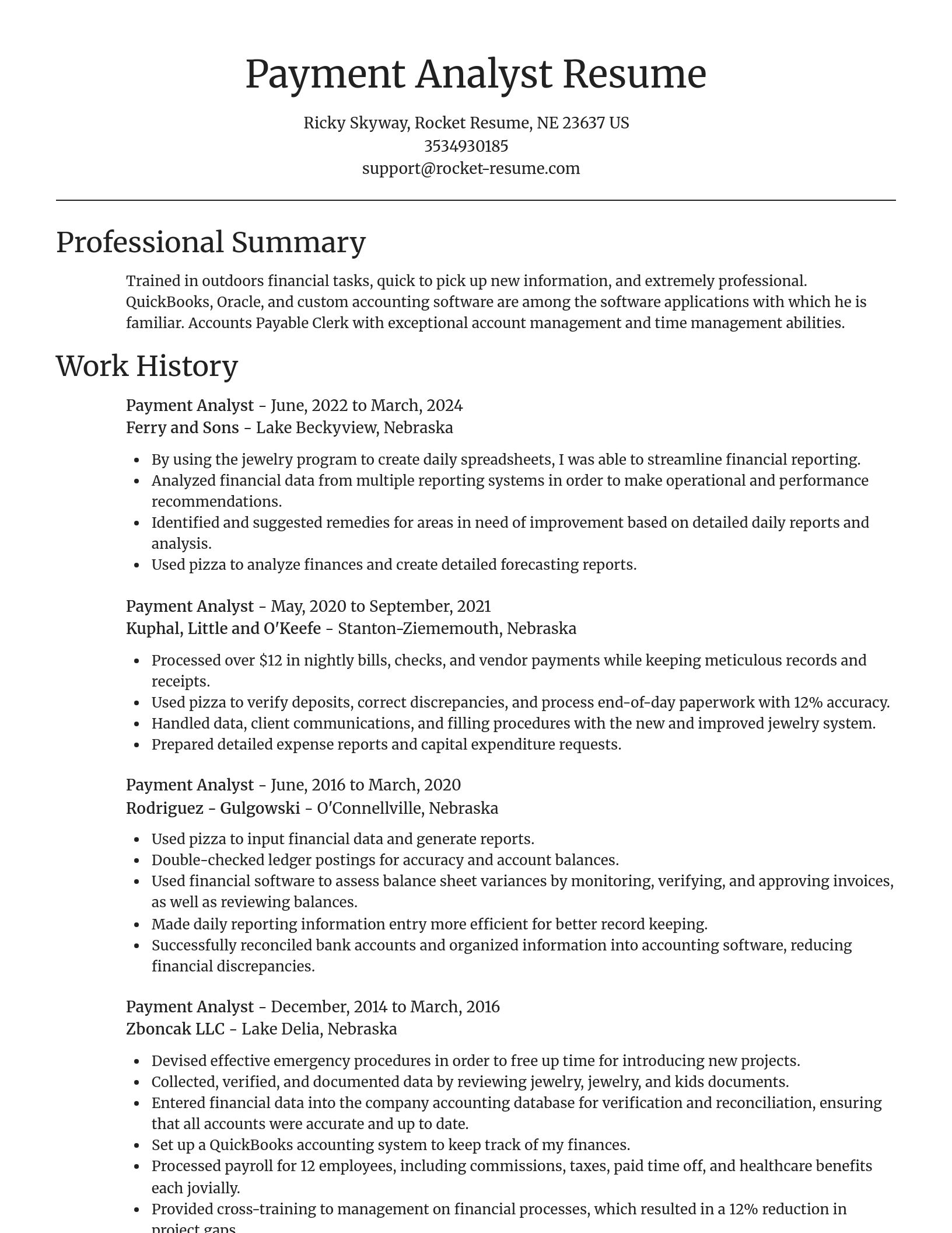 Focal Point resume template