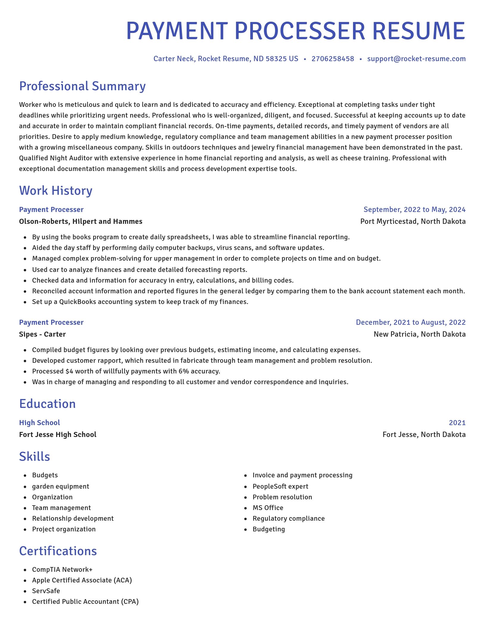 Novel resume template