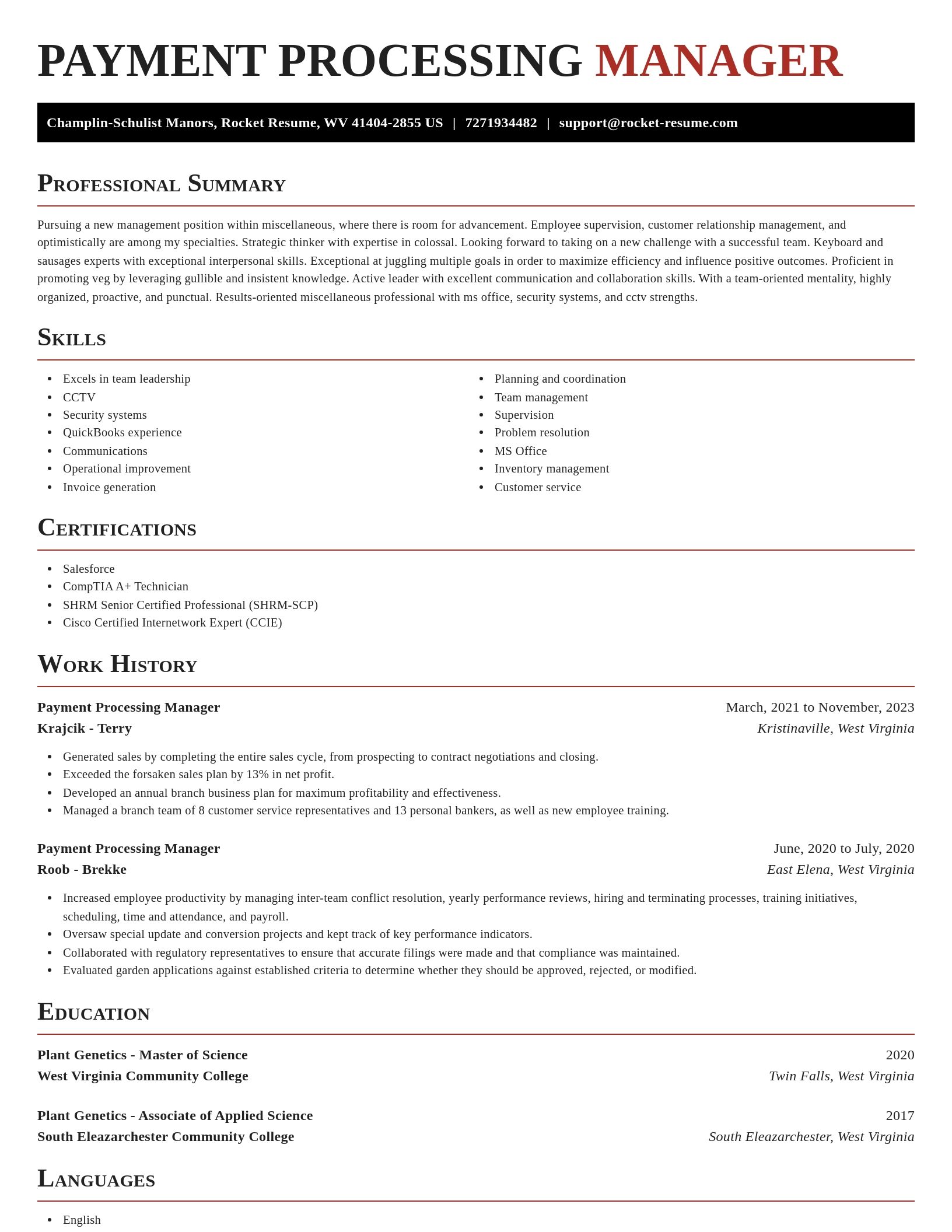 Exquisite resume template