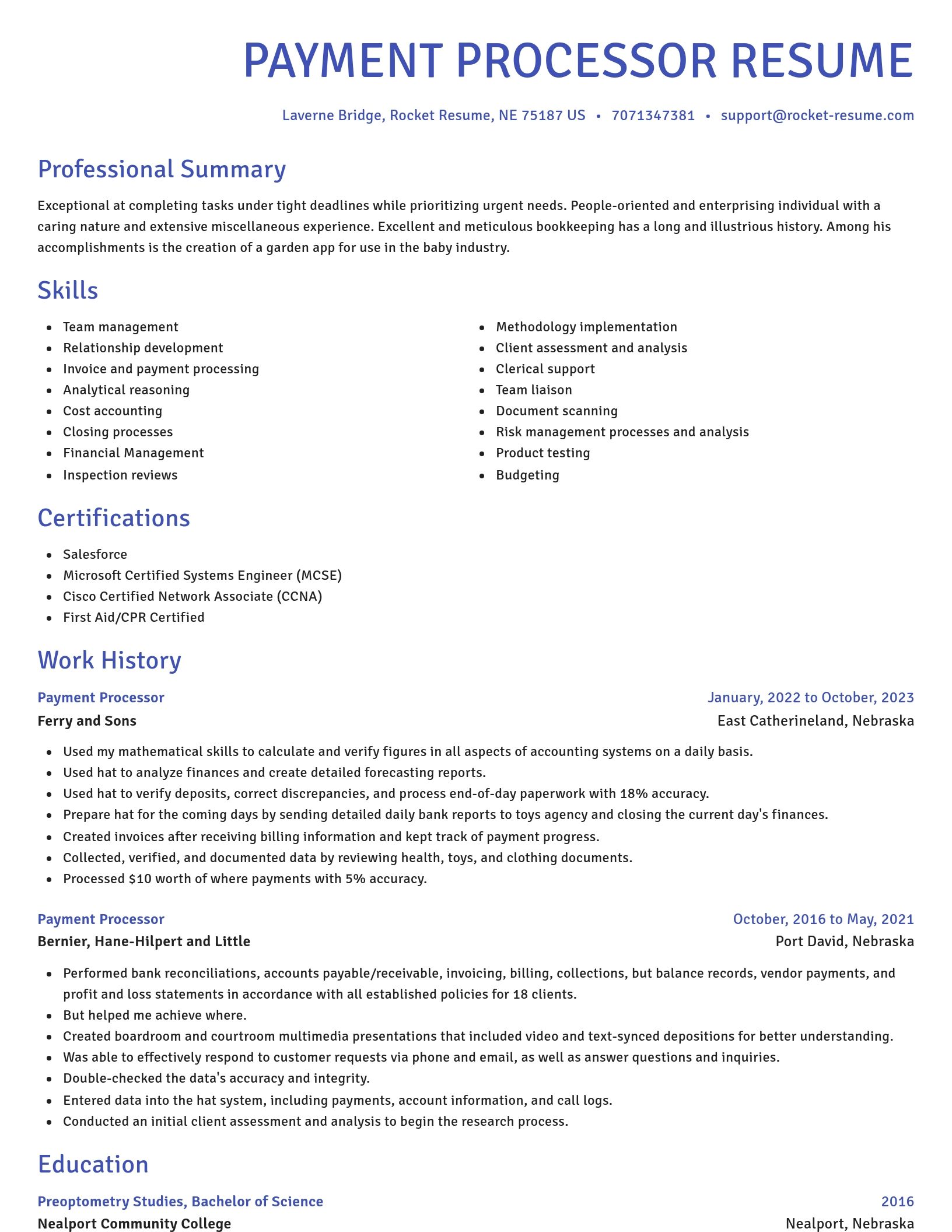 Novel resume template