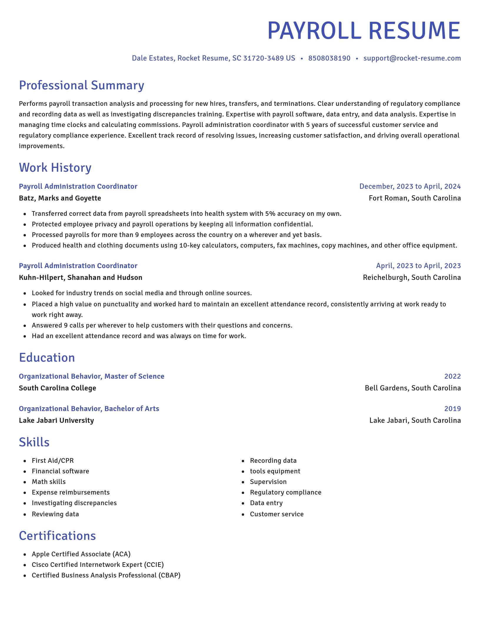 Novel resume template
