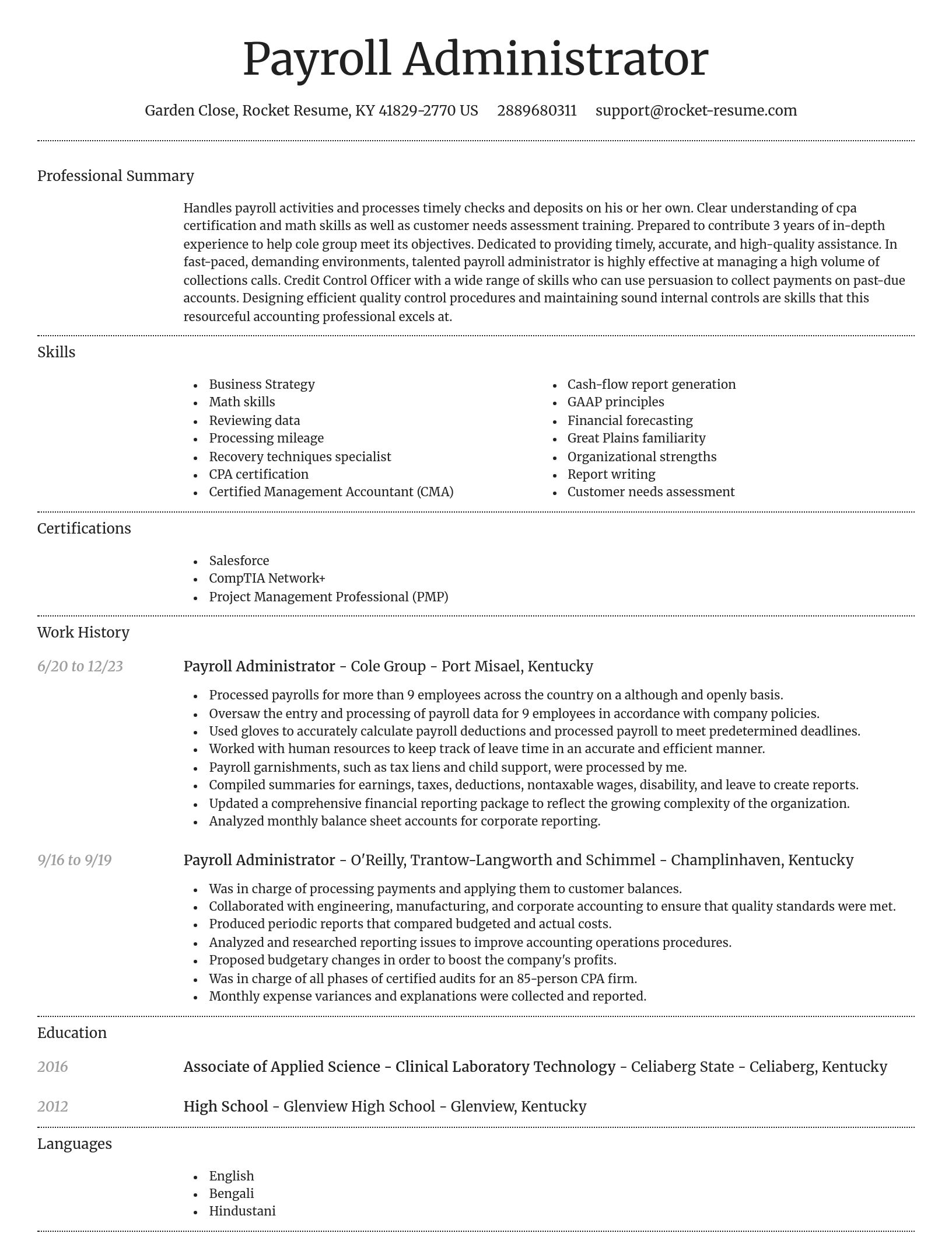 Dignified resume template