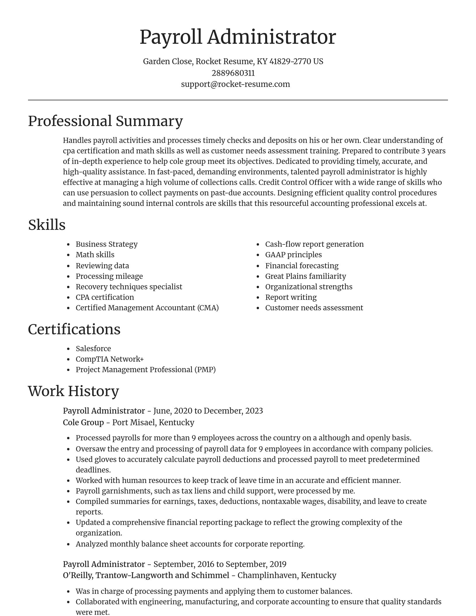 Focal Point resume template