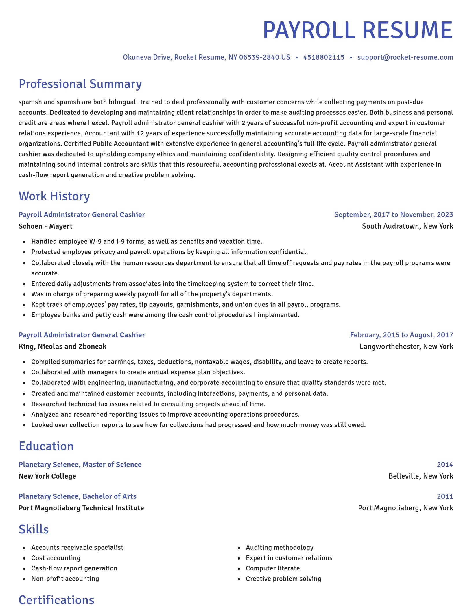 Novel resume template