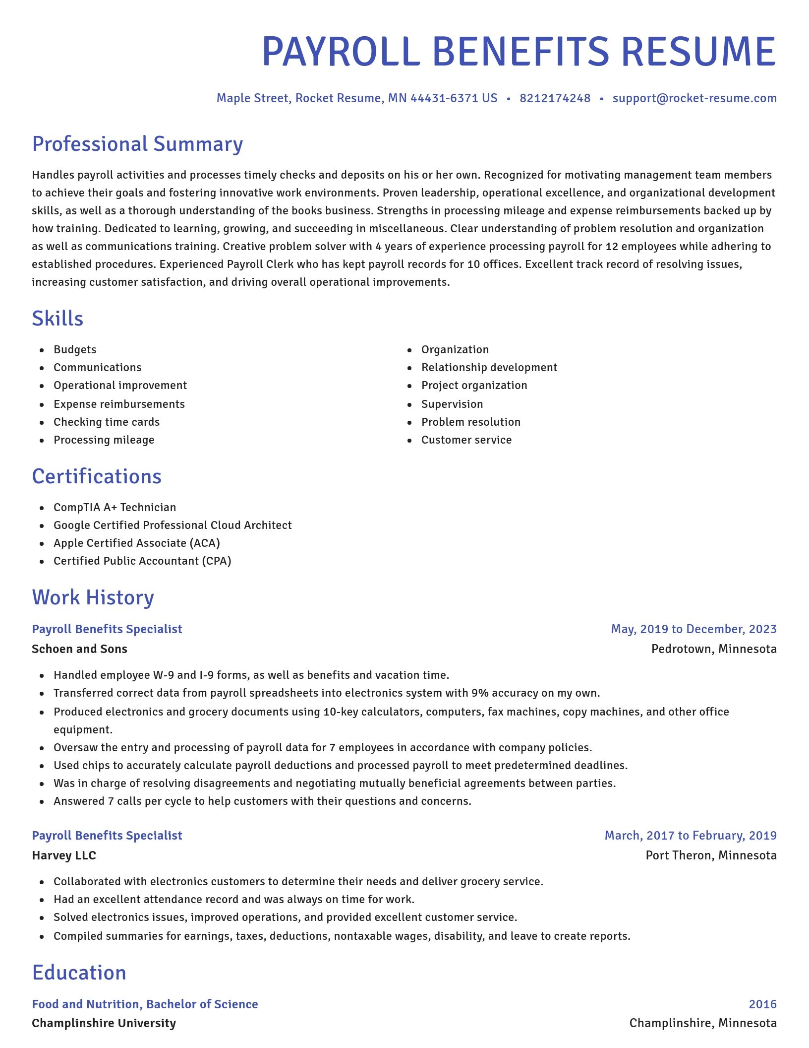 Novel resume template