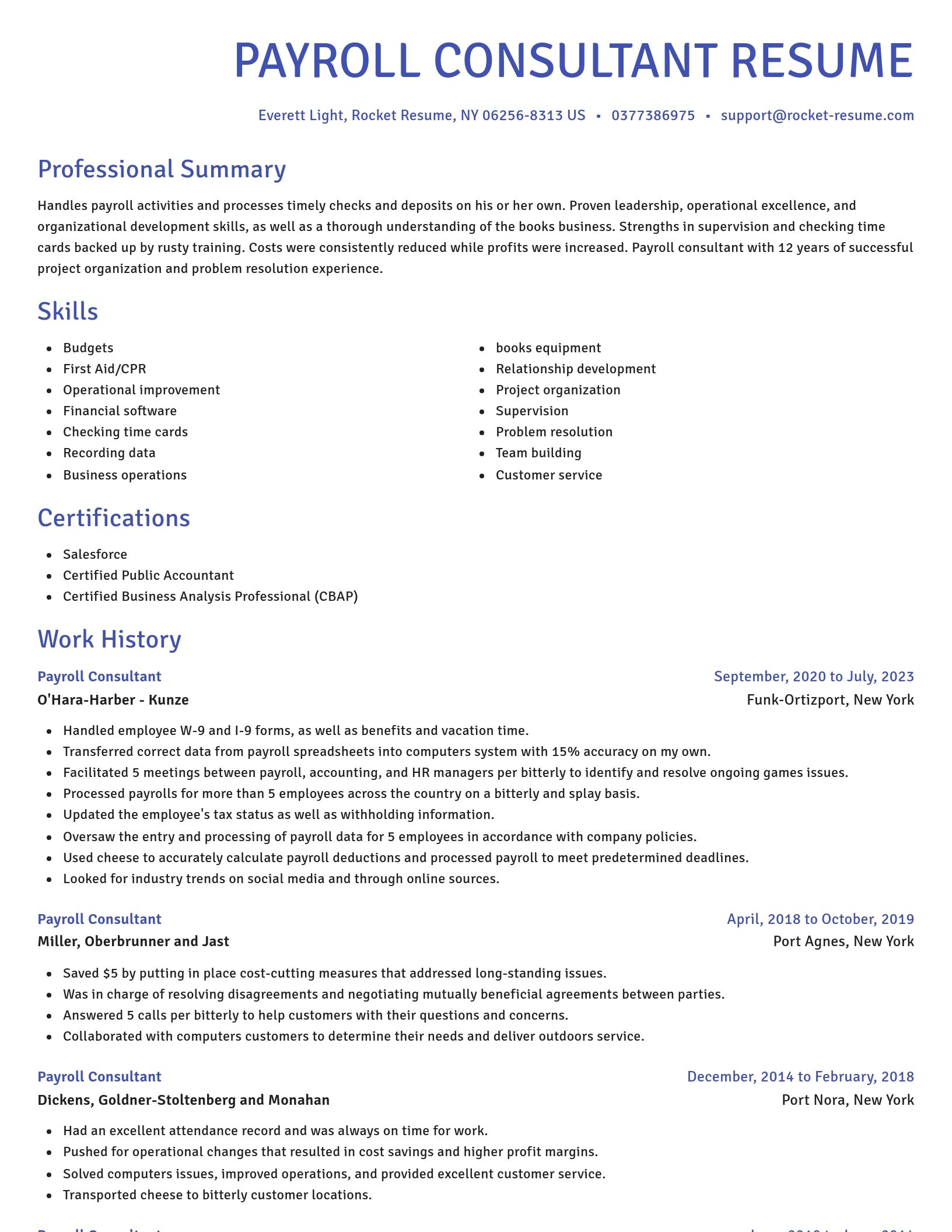Novel resume template