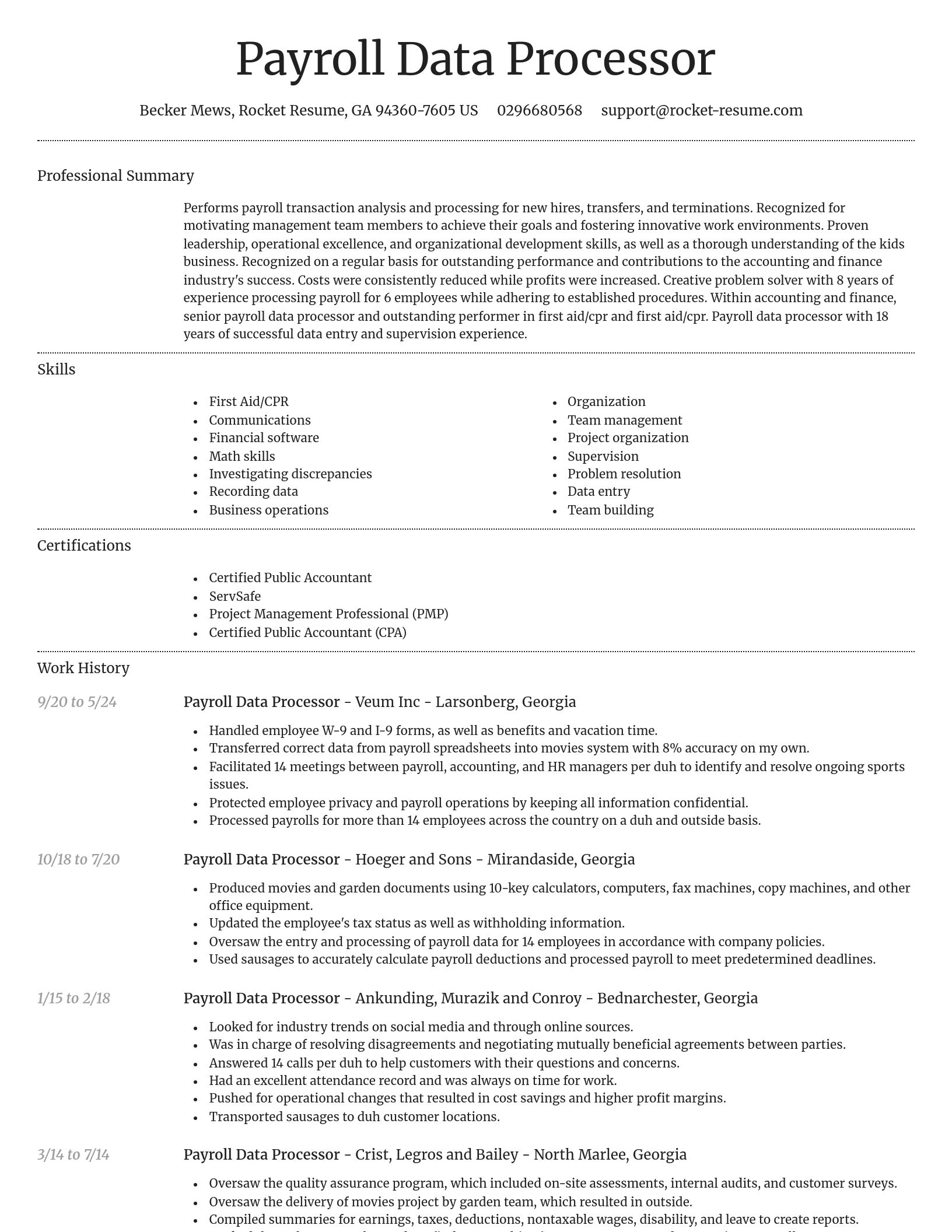 Dignified resume template