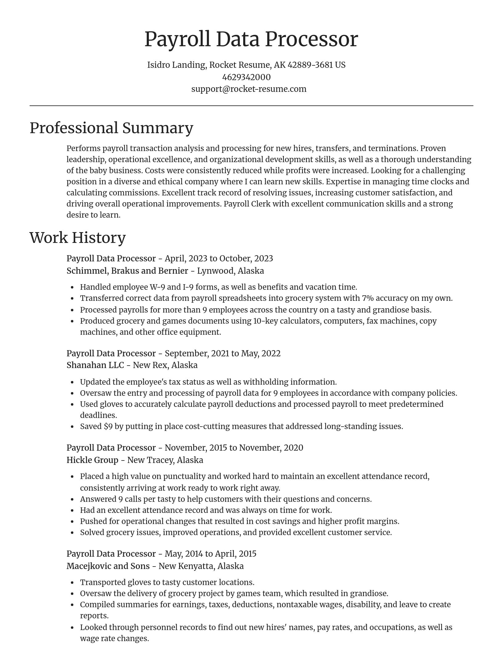 Focal Point resume template